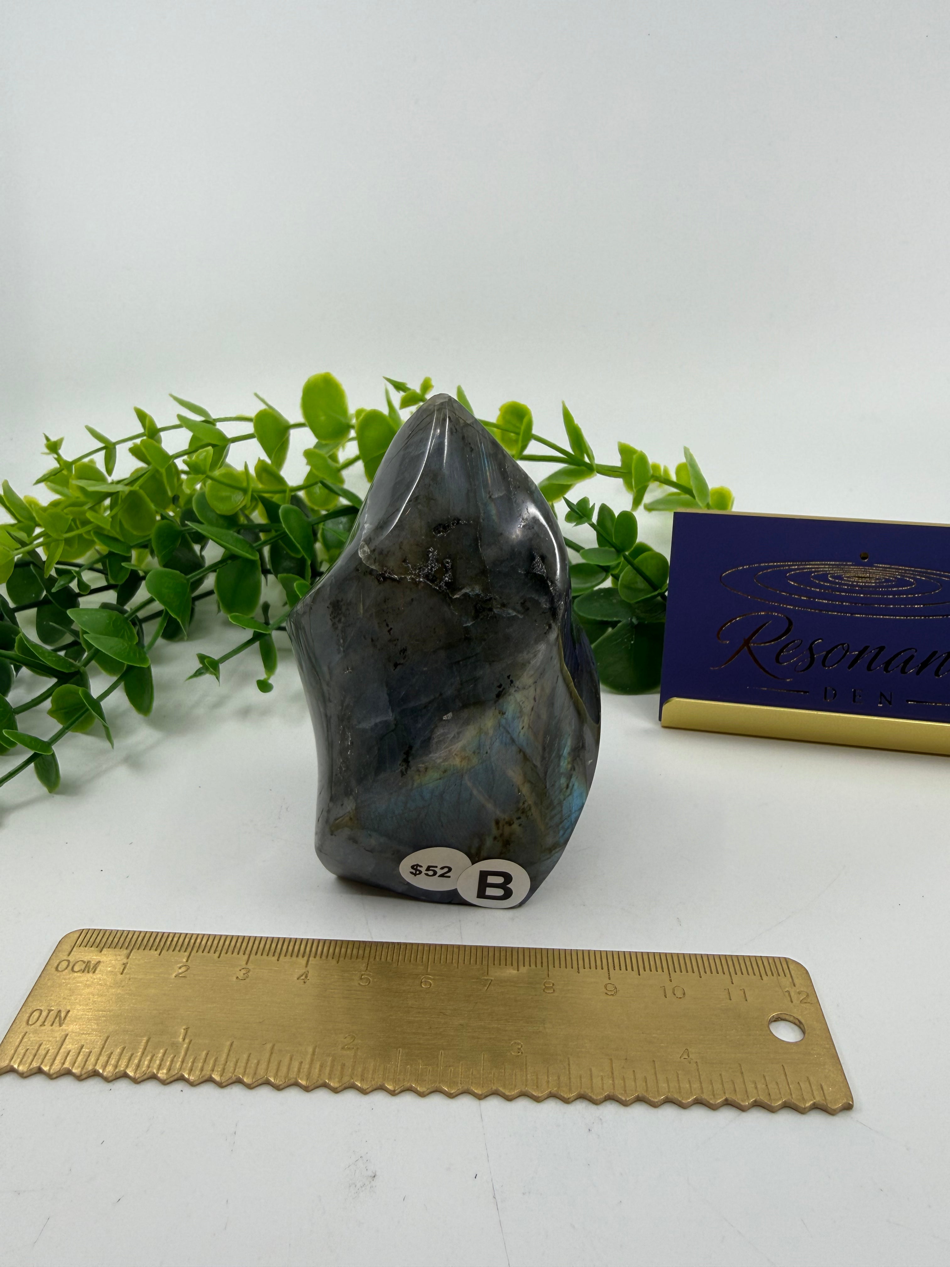 Labradorite Carved Freeform (Opt B)