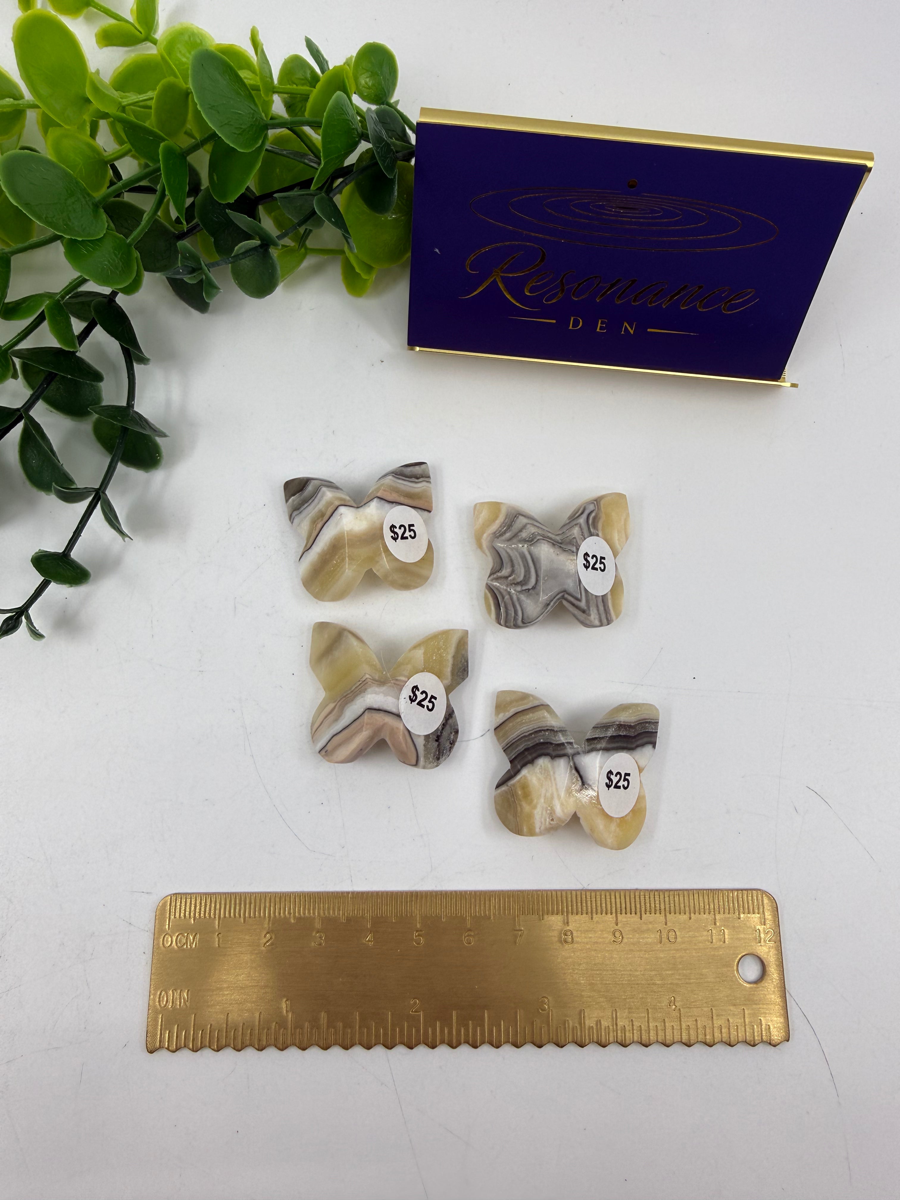 Zebra Calcite Mini Butterfly | Intuitively Chosen