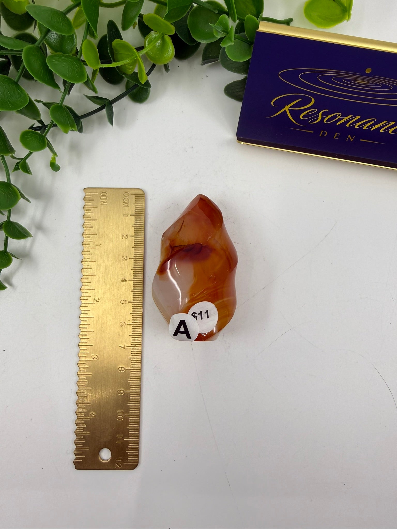 Carnelian Carved Freeform (Opt A)