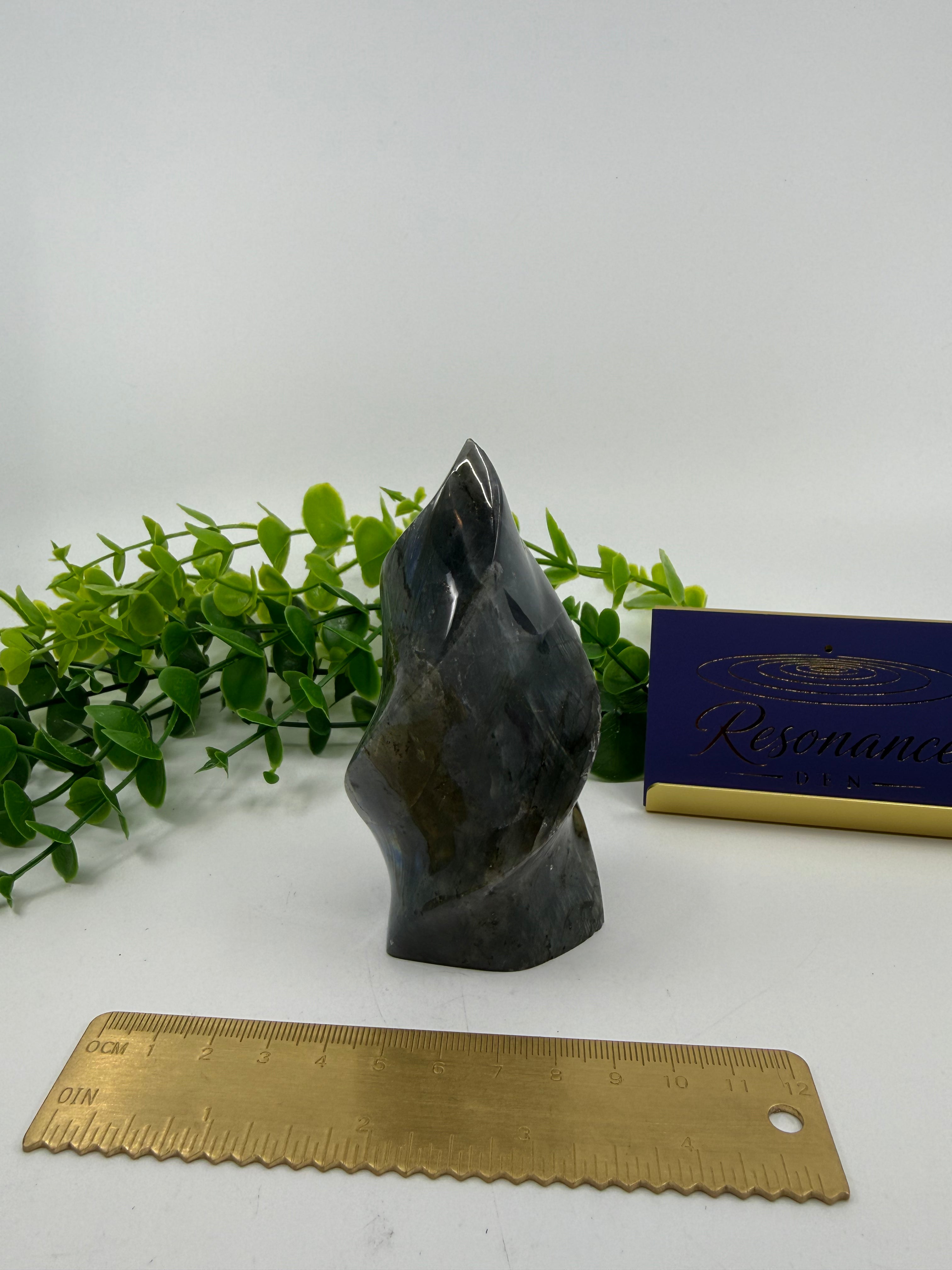 Labradorite Carved Freeform (Opt A)