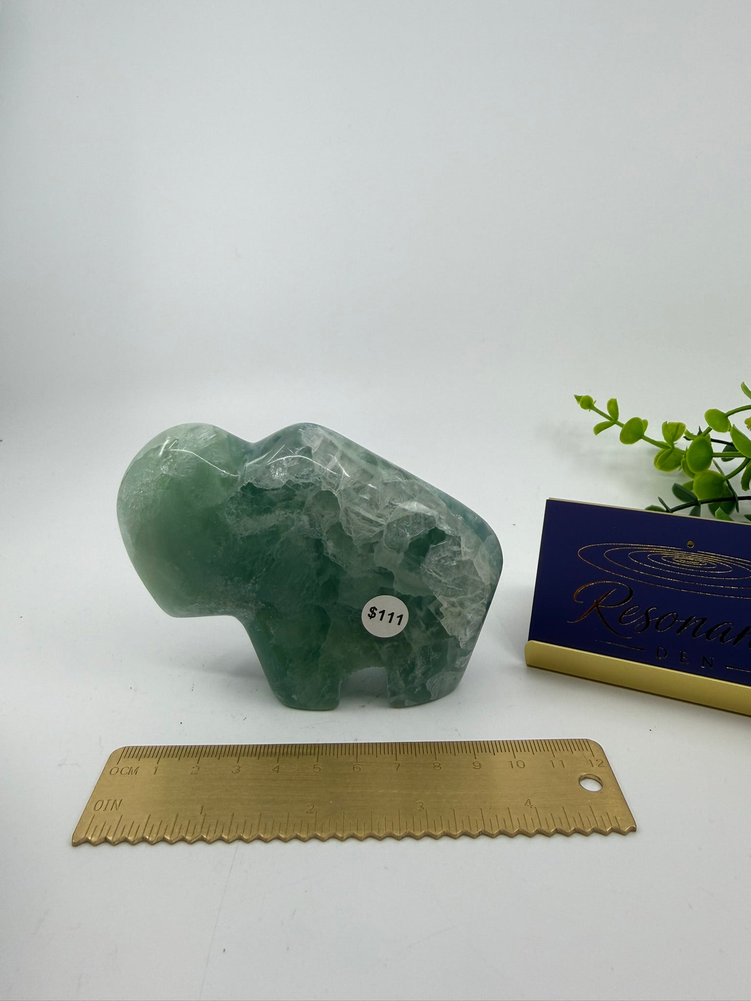 Fluorite Buffalo