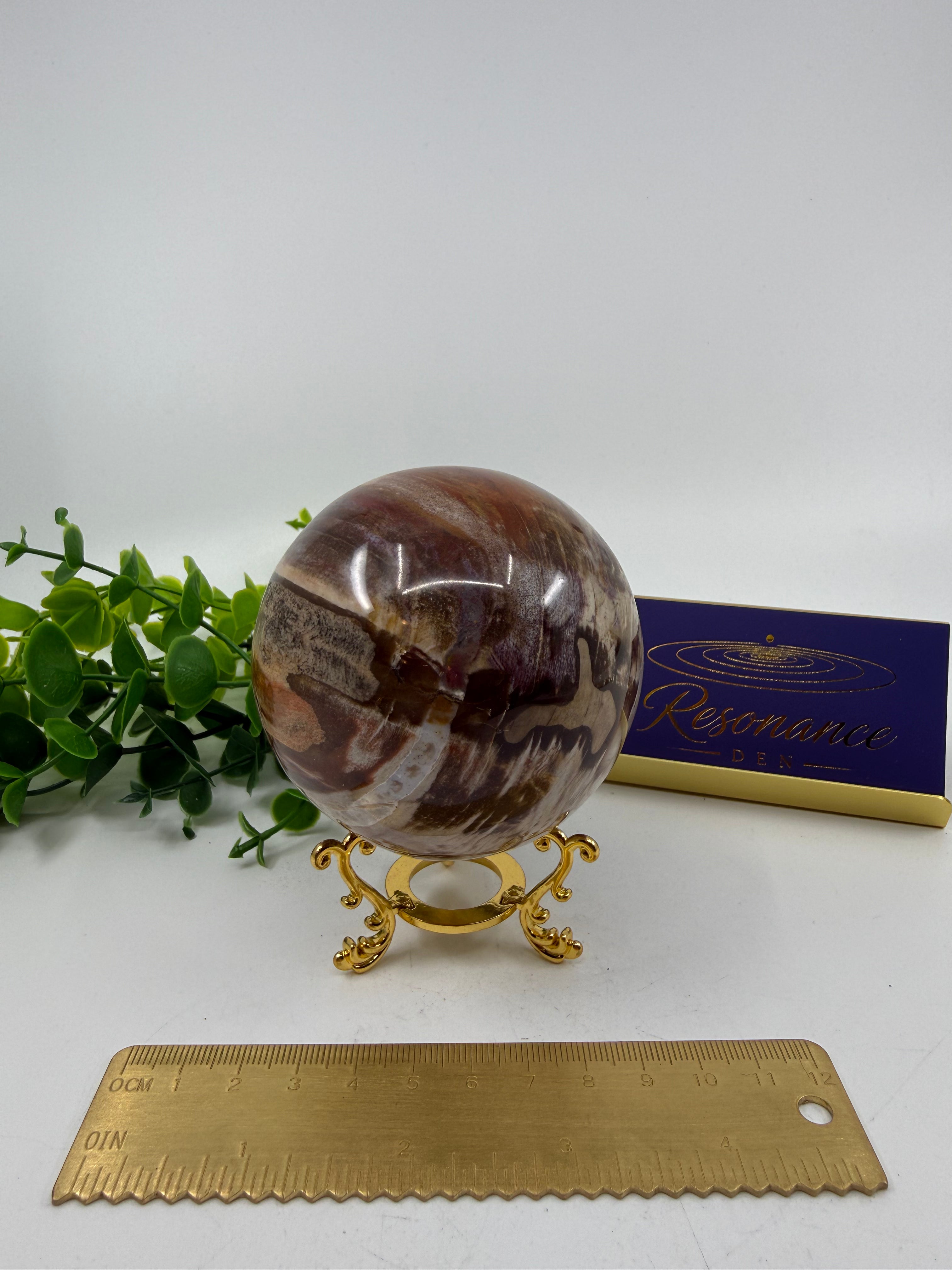 Petrified Wood Sphere (Opt B)