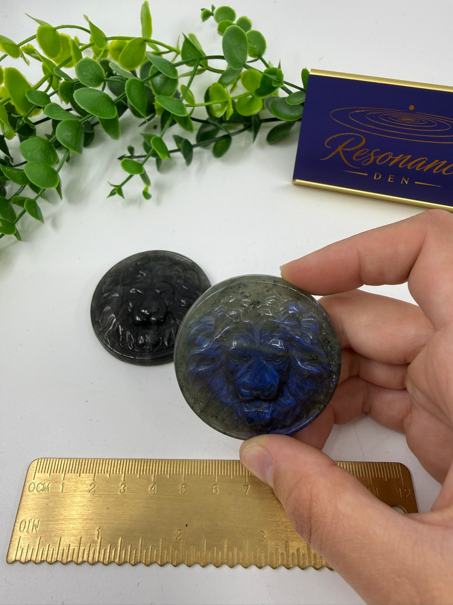 Labradorite Lion Coin | Intuitively Chosen