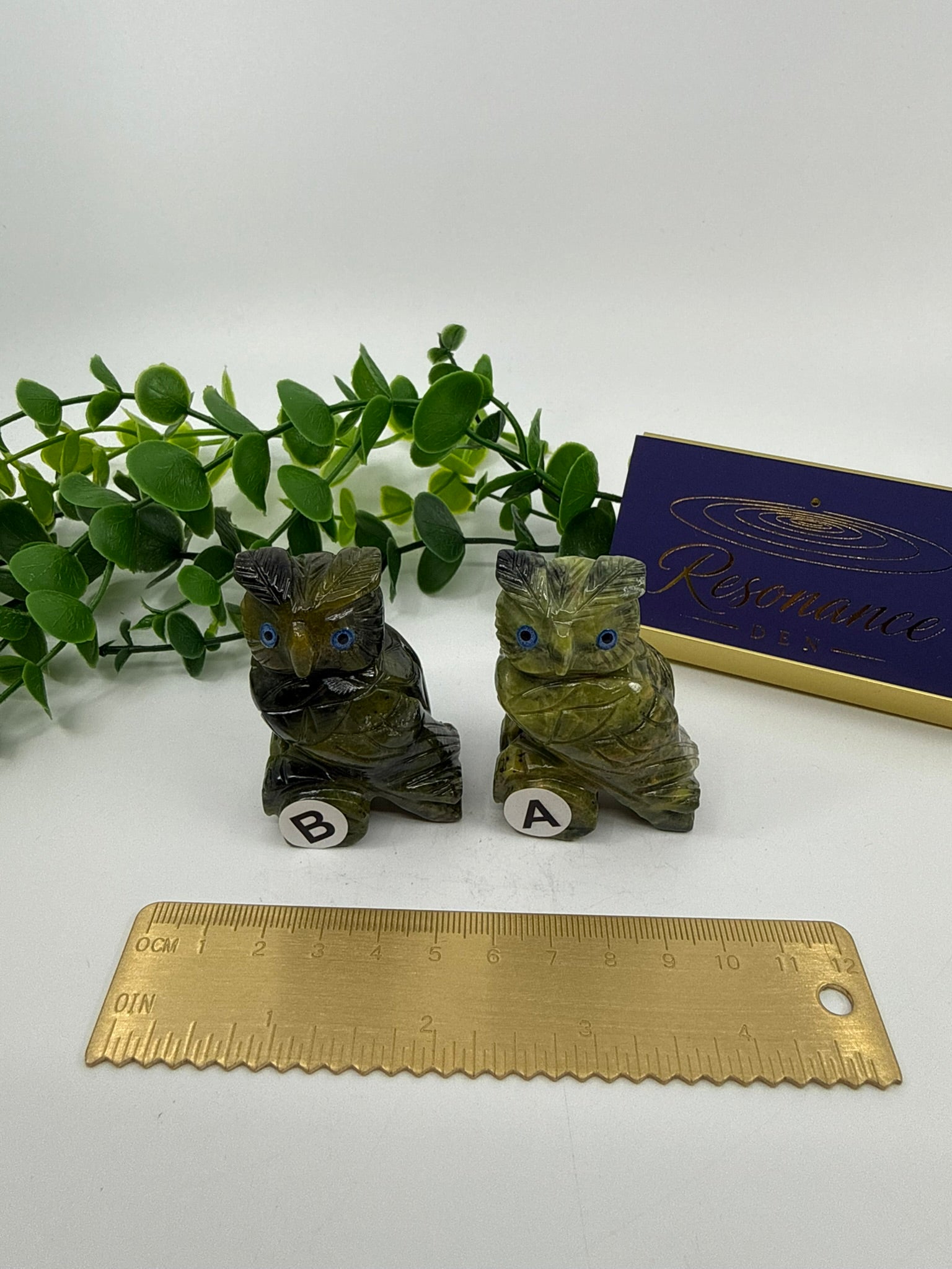 Green Opal Owls (Opt A & B)
