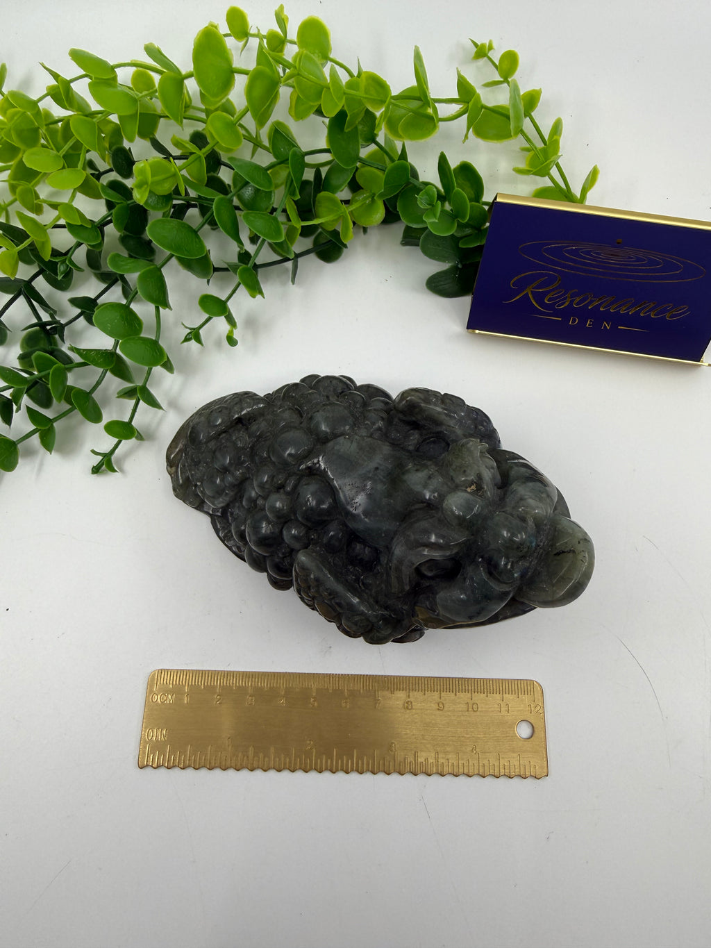 Labradorite Money Toad
