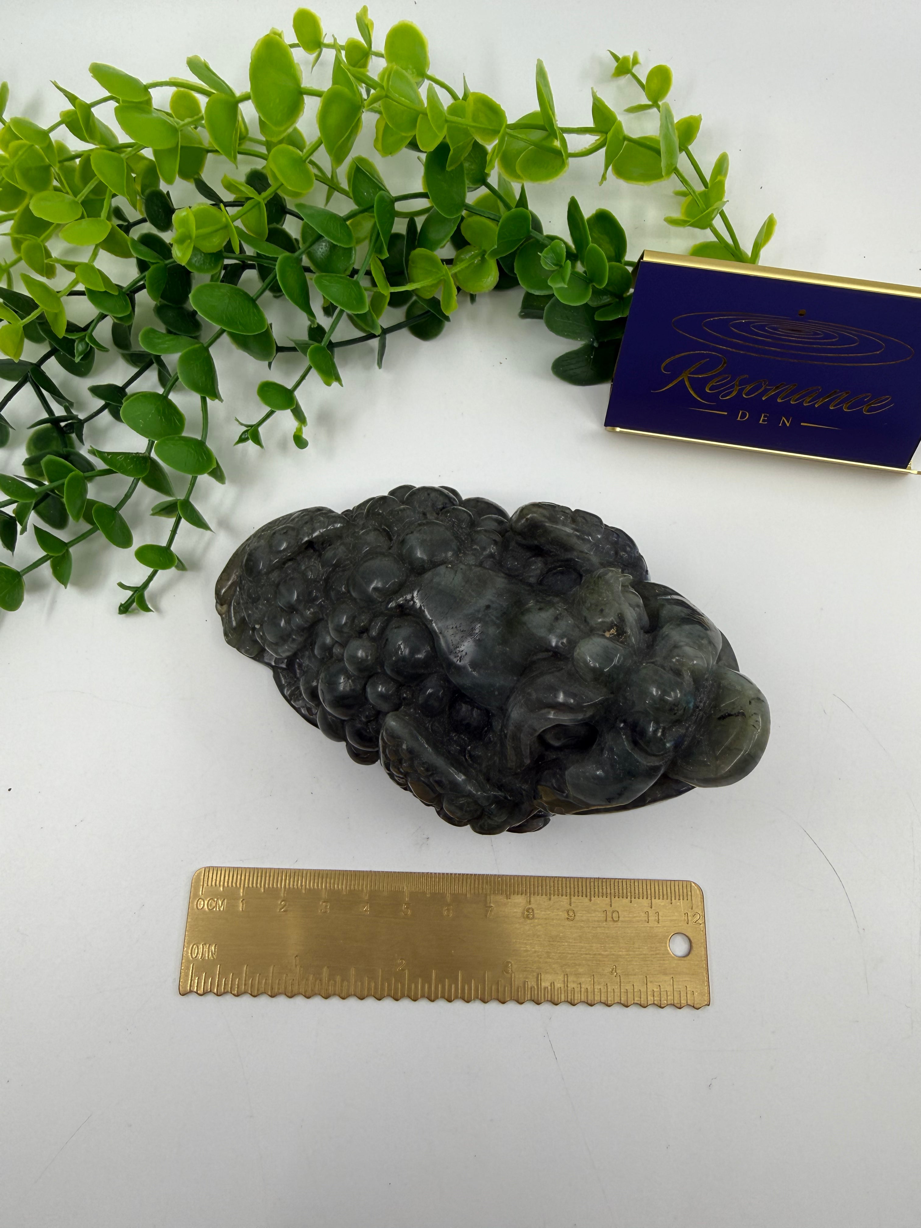 Labradorite Money Toad