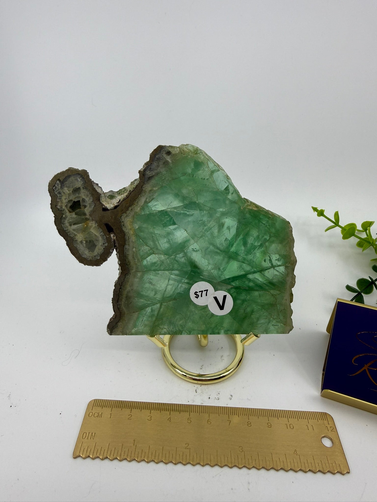 Fluorite Slab | Rare Pyrite Edging (Opt V)