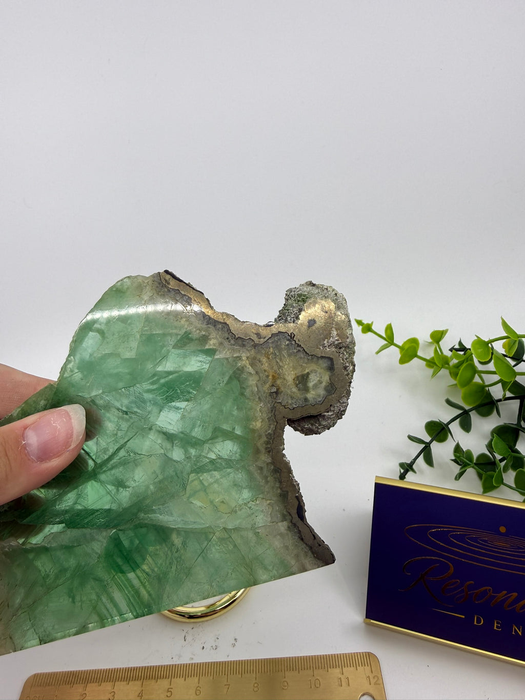 Fluorite Slab | Rare Pyrite Edging (Opt V)