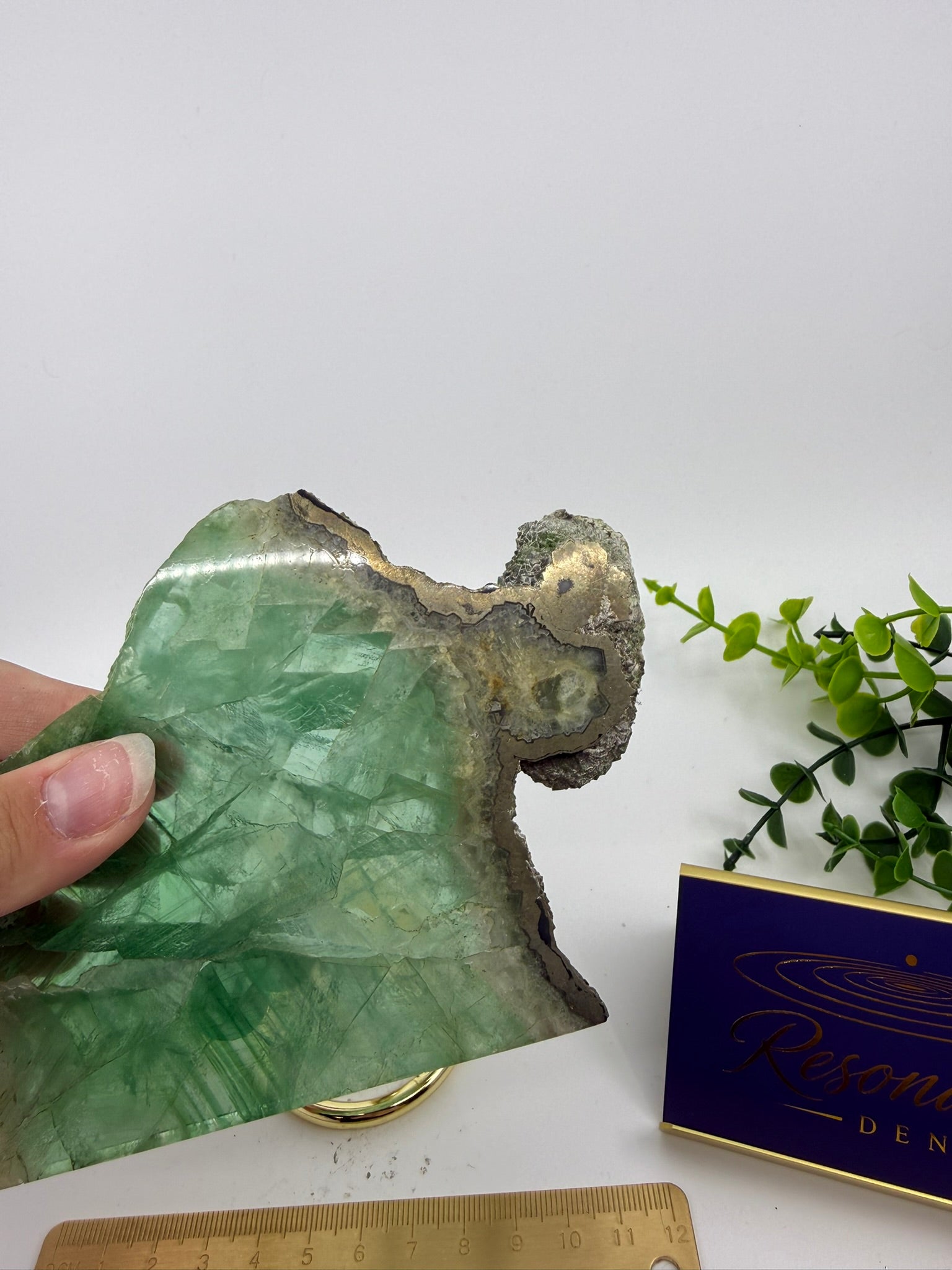 Fluorite Slab | Rare Pyrite Edging (Opt V)