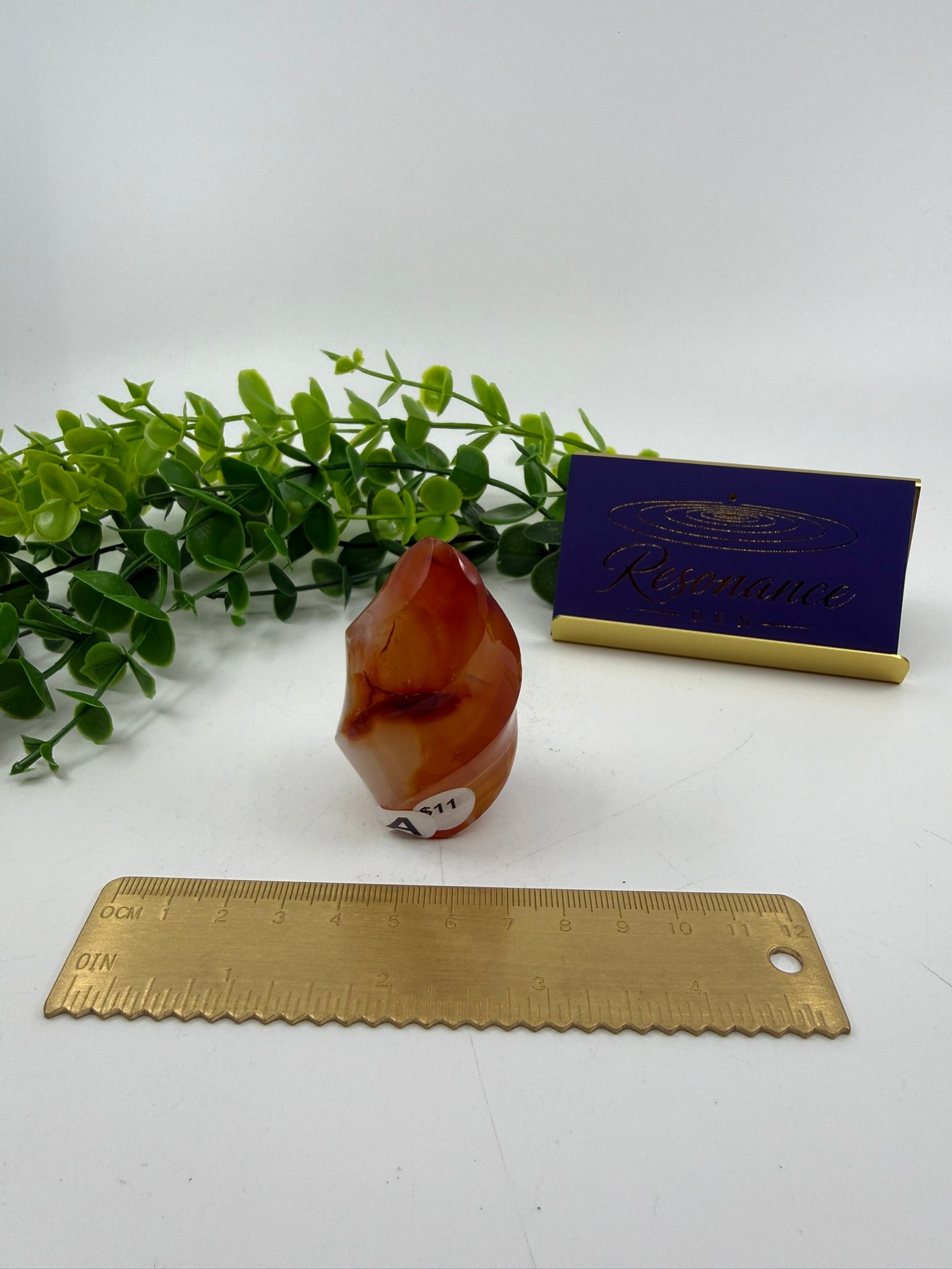 Carnelian Carved Freeform (Opt A)