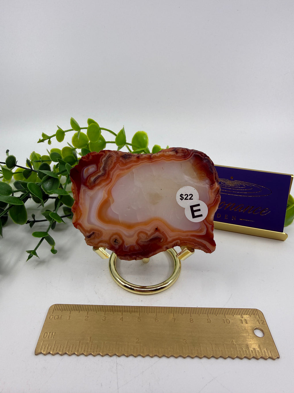 Carnelian Slab (Opt E)