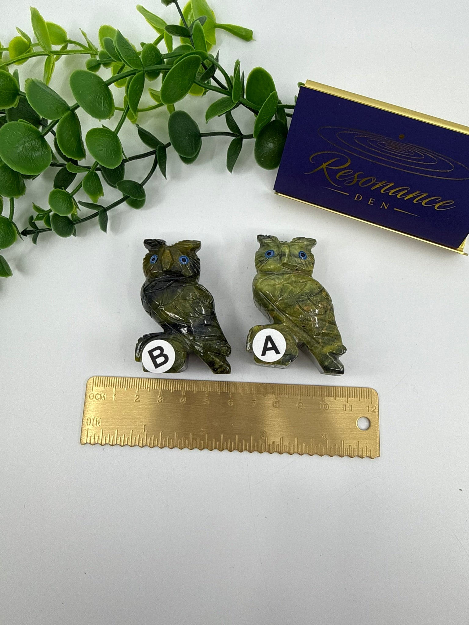 Green Opal Owls (Opt A & B)