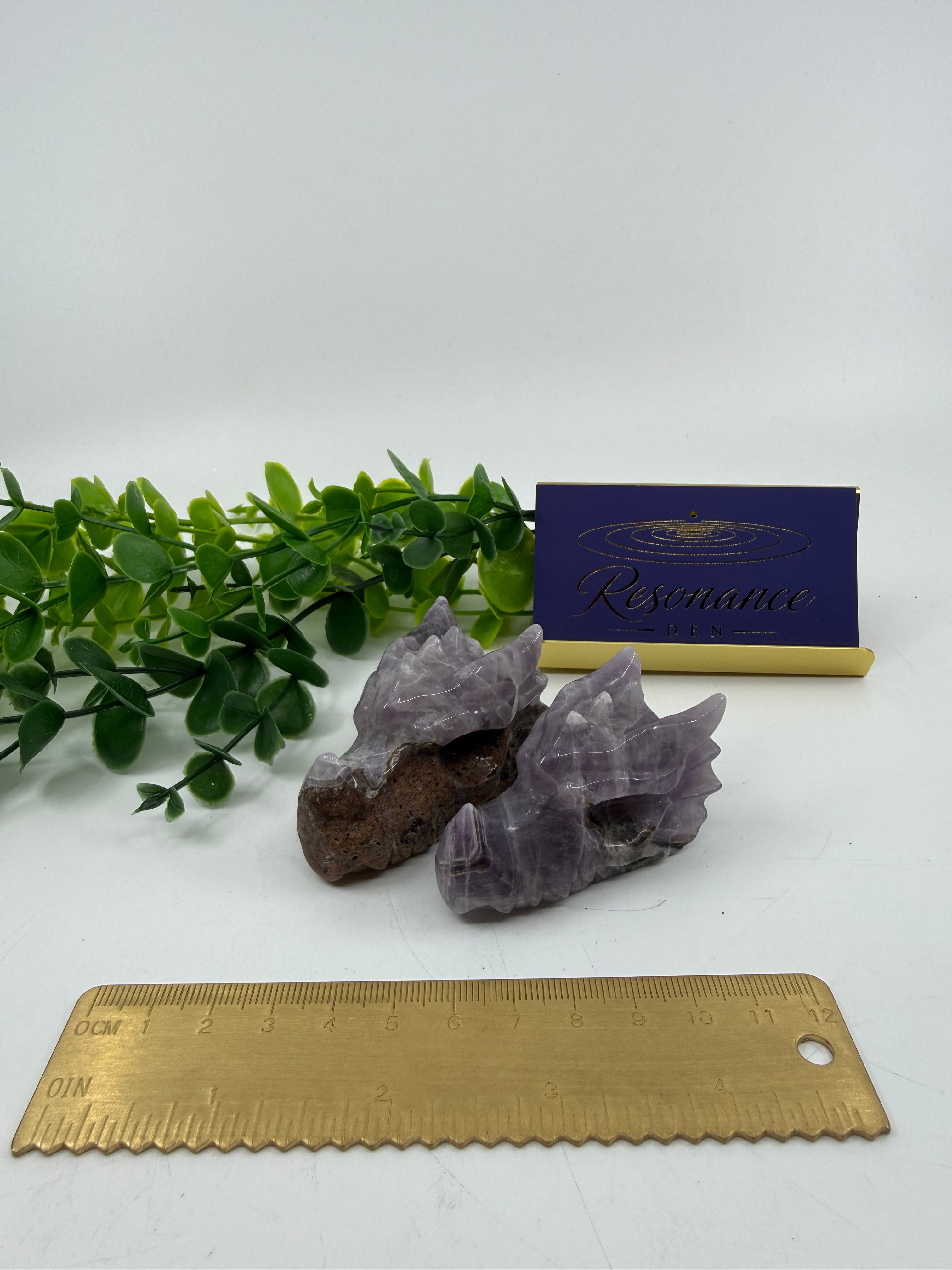 Chevron Amethyst Dragon Head Carving | Intuitively Chosen