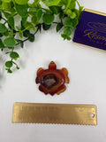 Carnelian Turtle (Opt A)