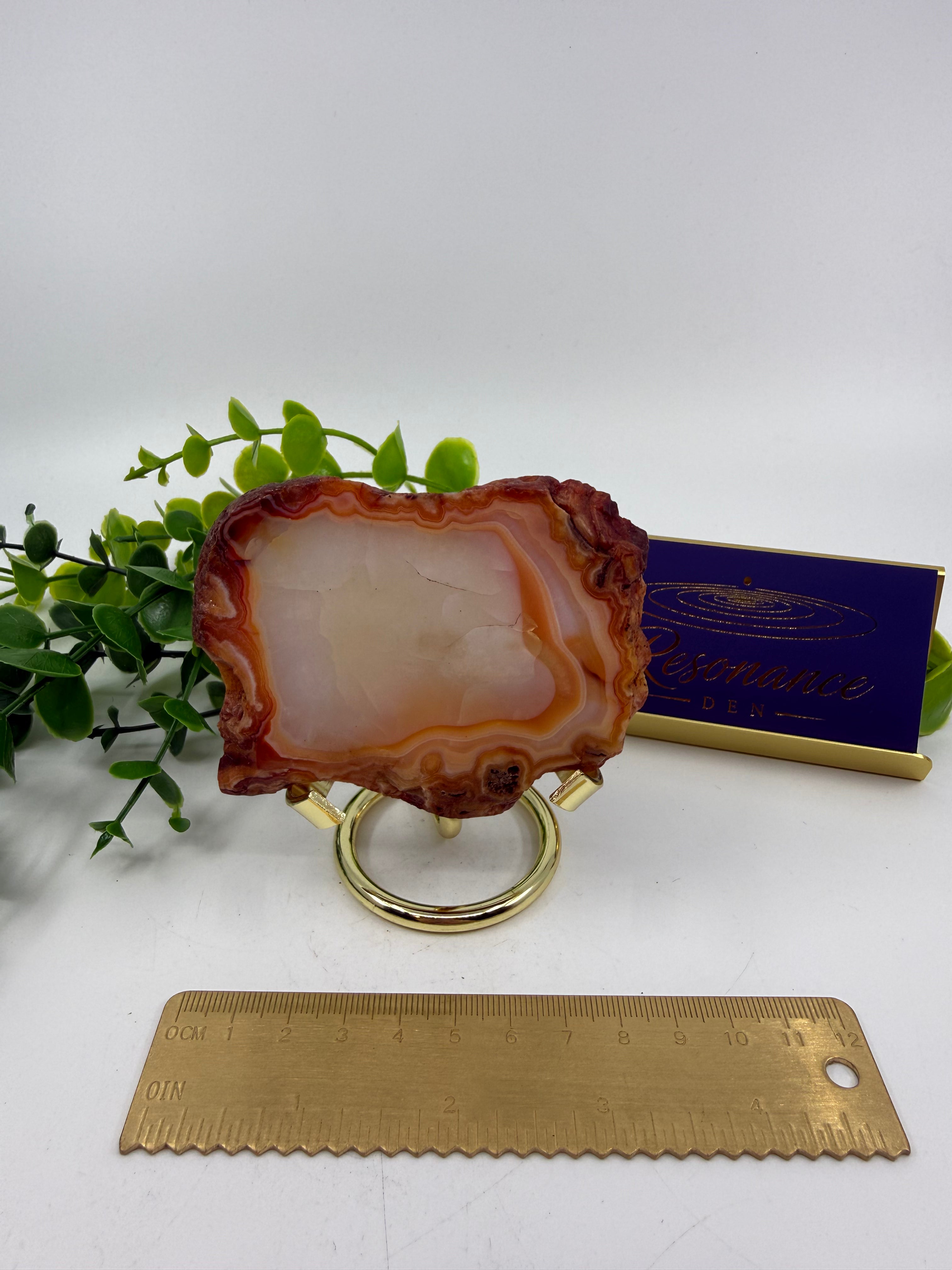 Carnelian Slab (Opt E)