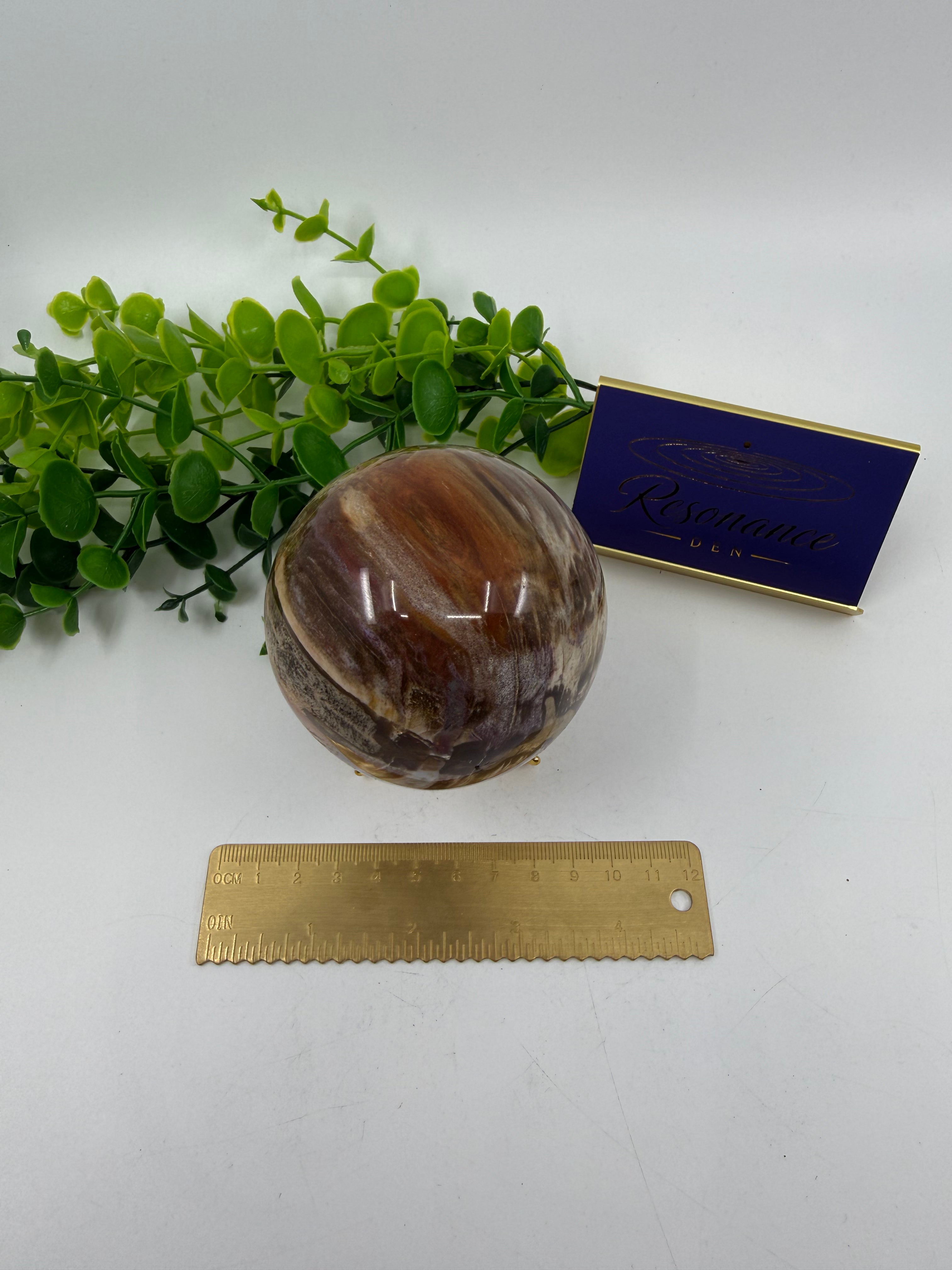Petrified Wood Sphere (Opt B)