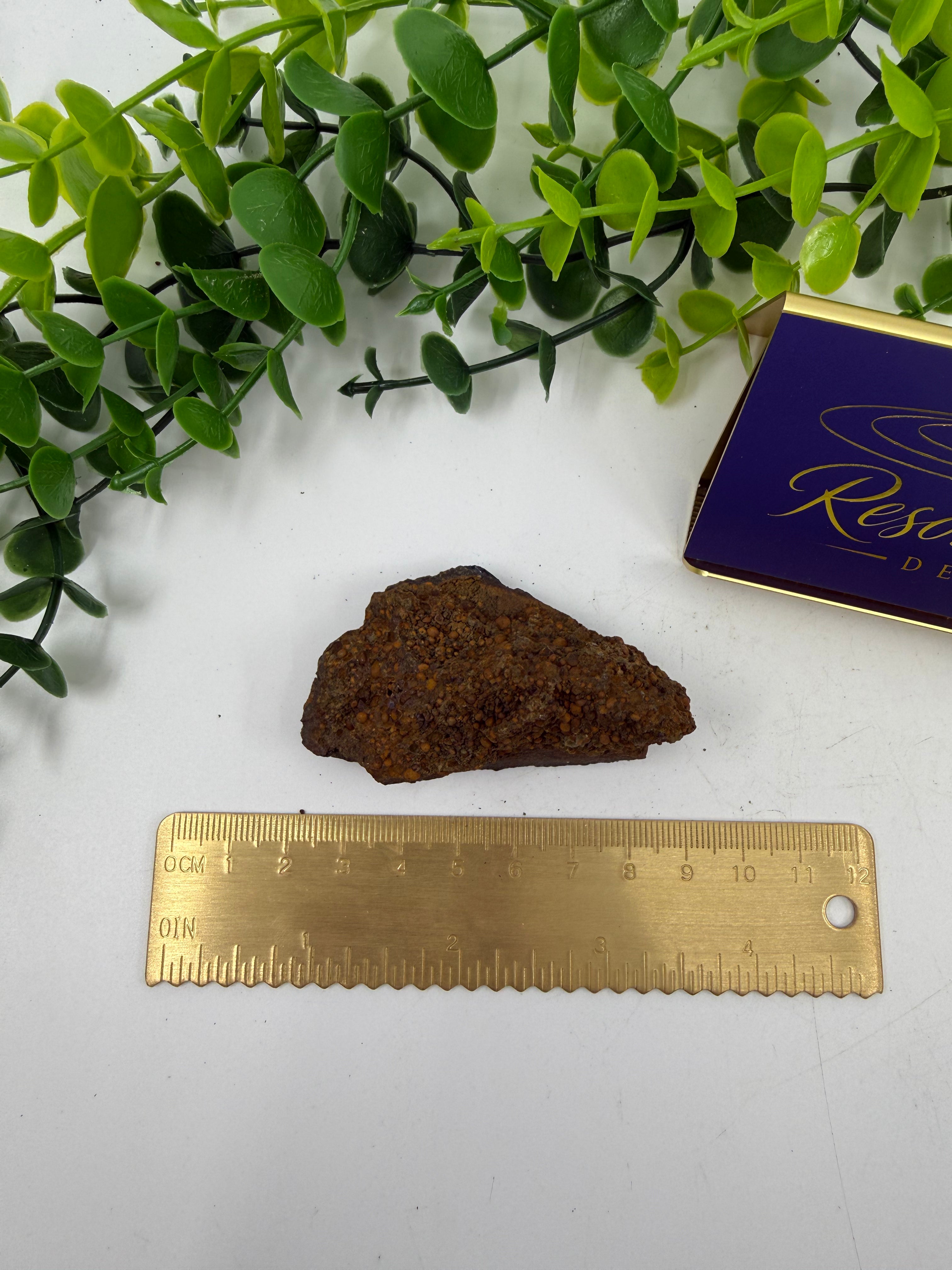 Vivianite Raw Chunk (Opt H)