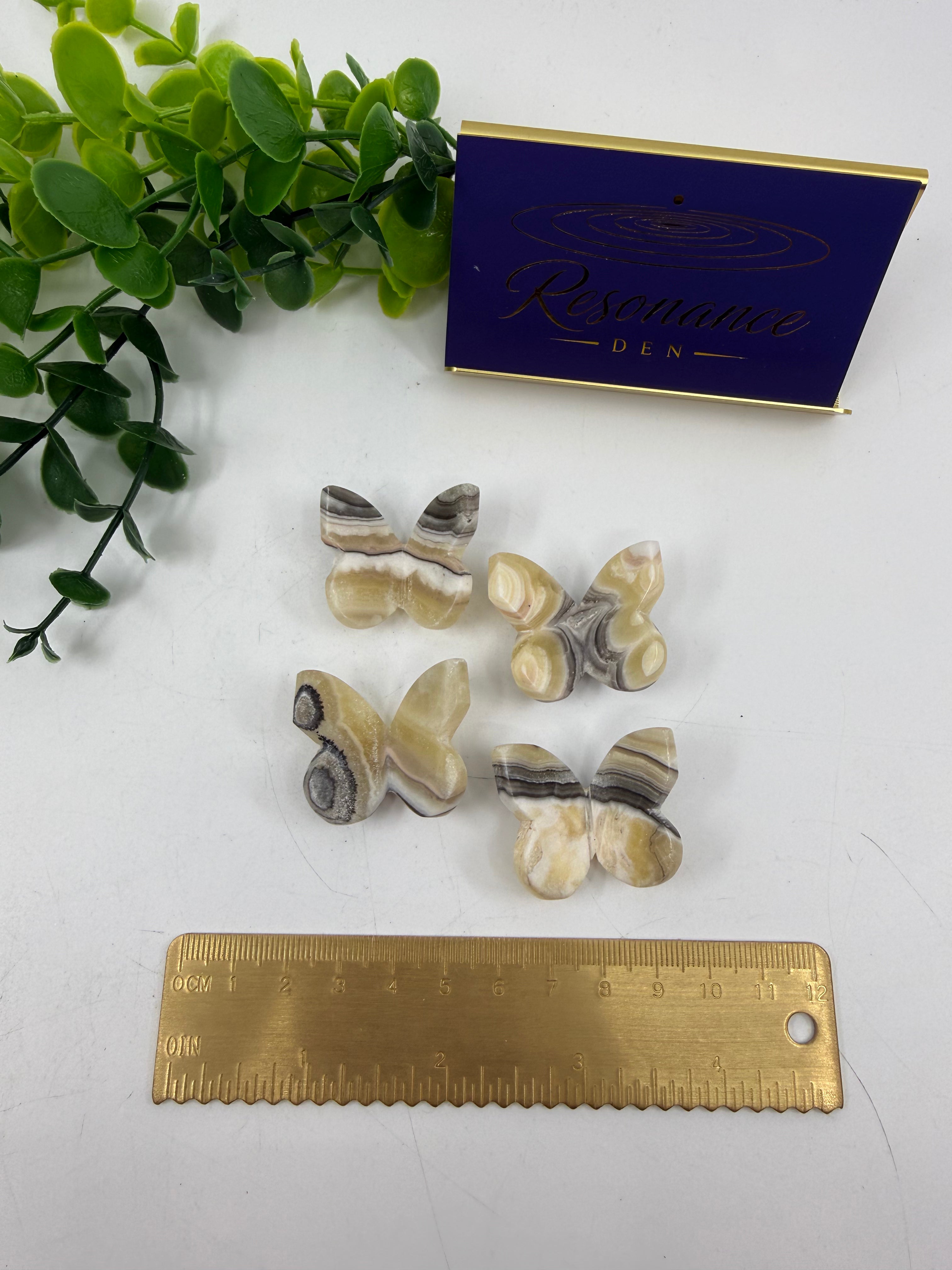 Zebra Calcite Mini Butterfly | Intuitively Chosen
