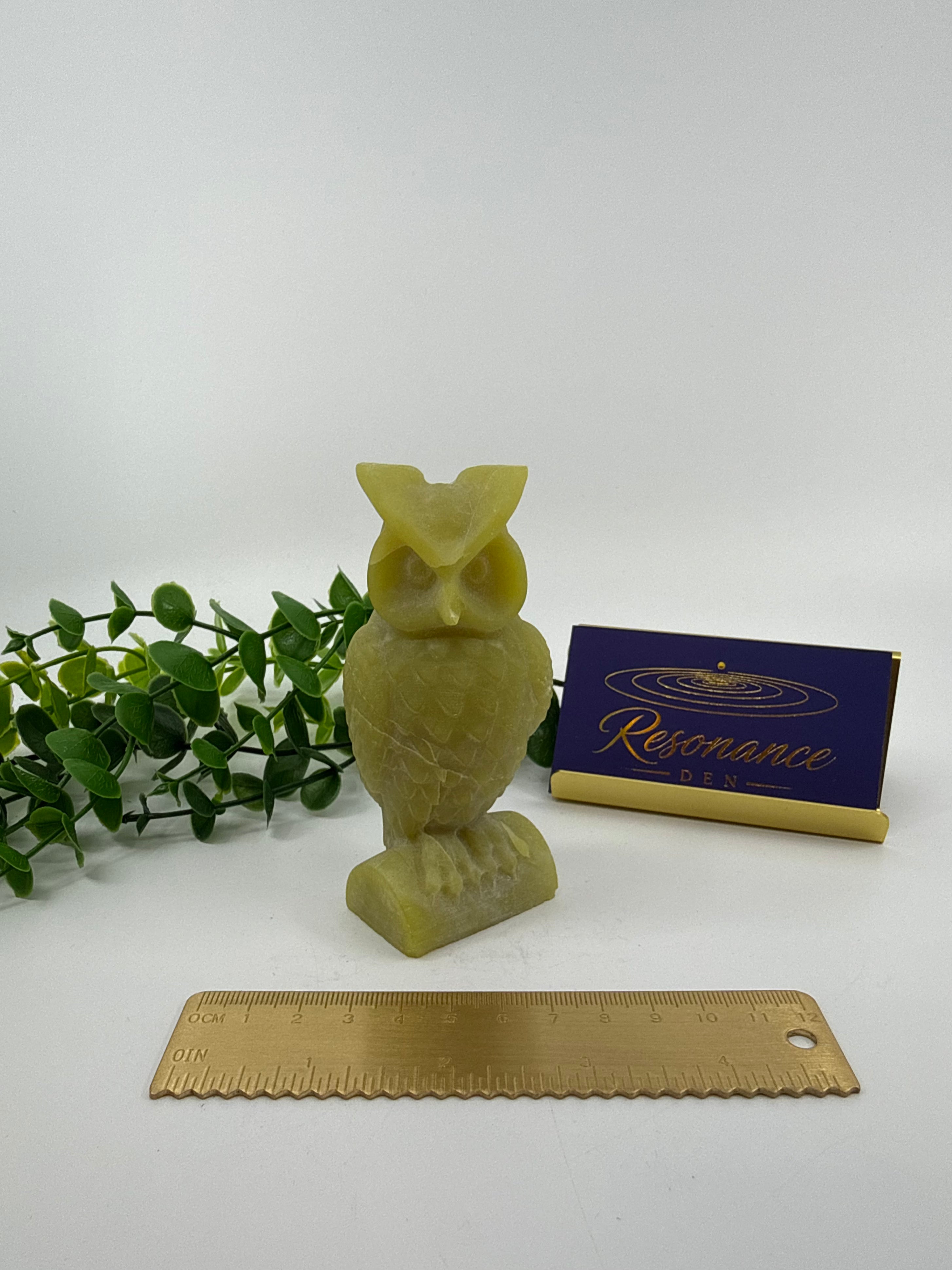 Jade Owl