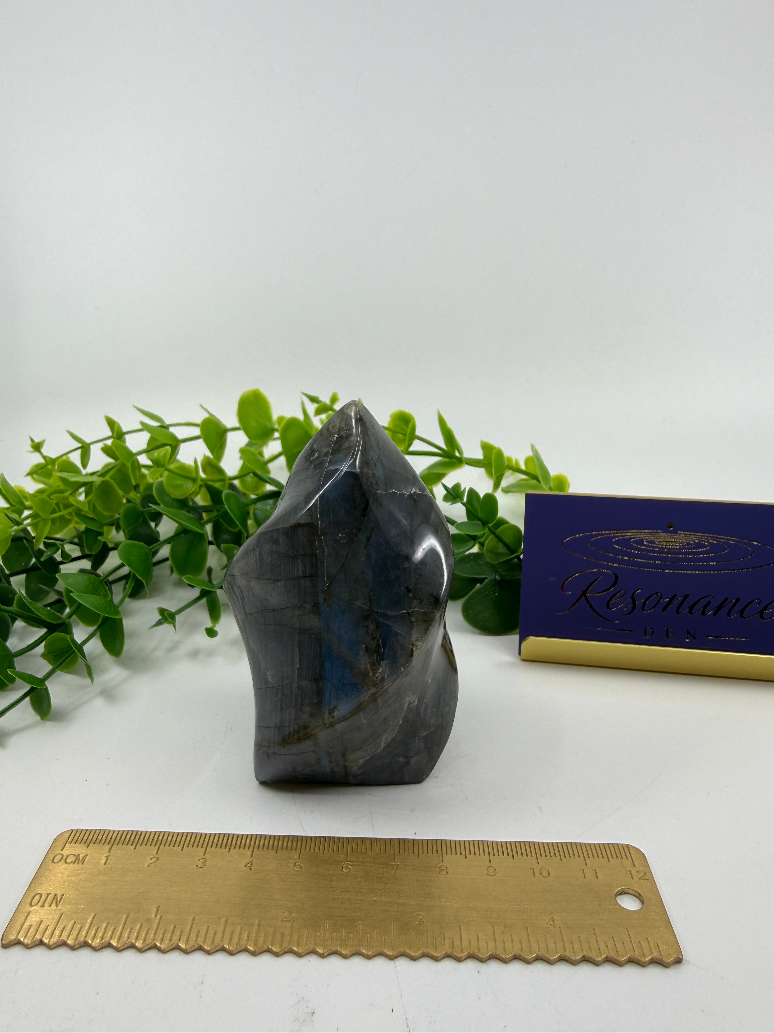 Labradorite Carved Freeform (Opt B)