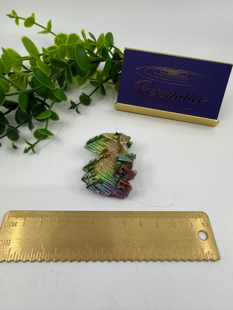 Bismuth Mini Cluster (Opt B)