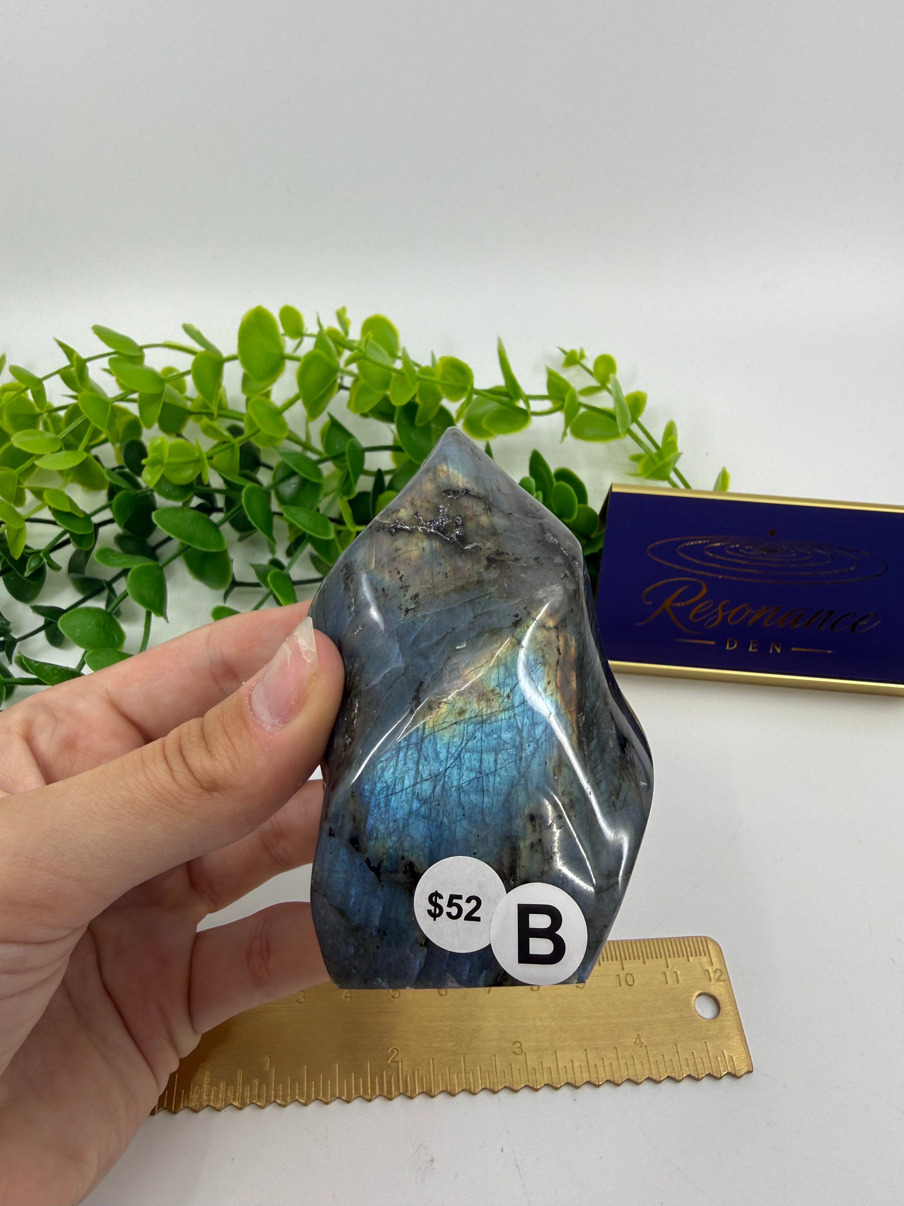 Labradorite Carved Freeform (Opt B)