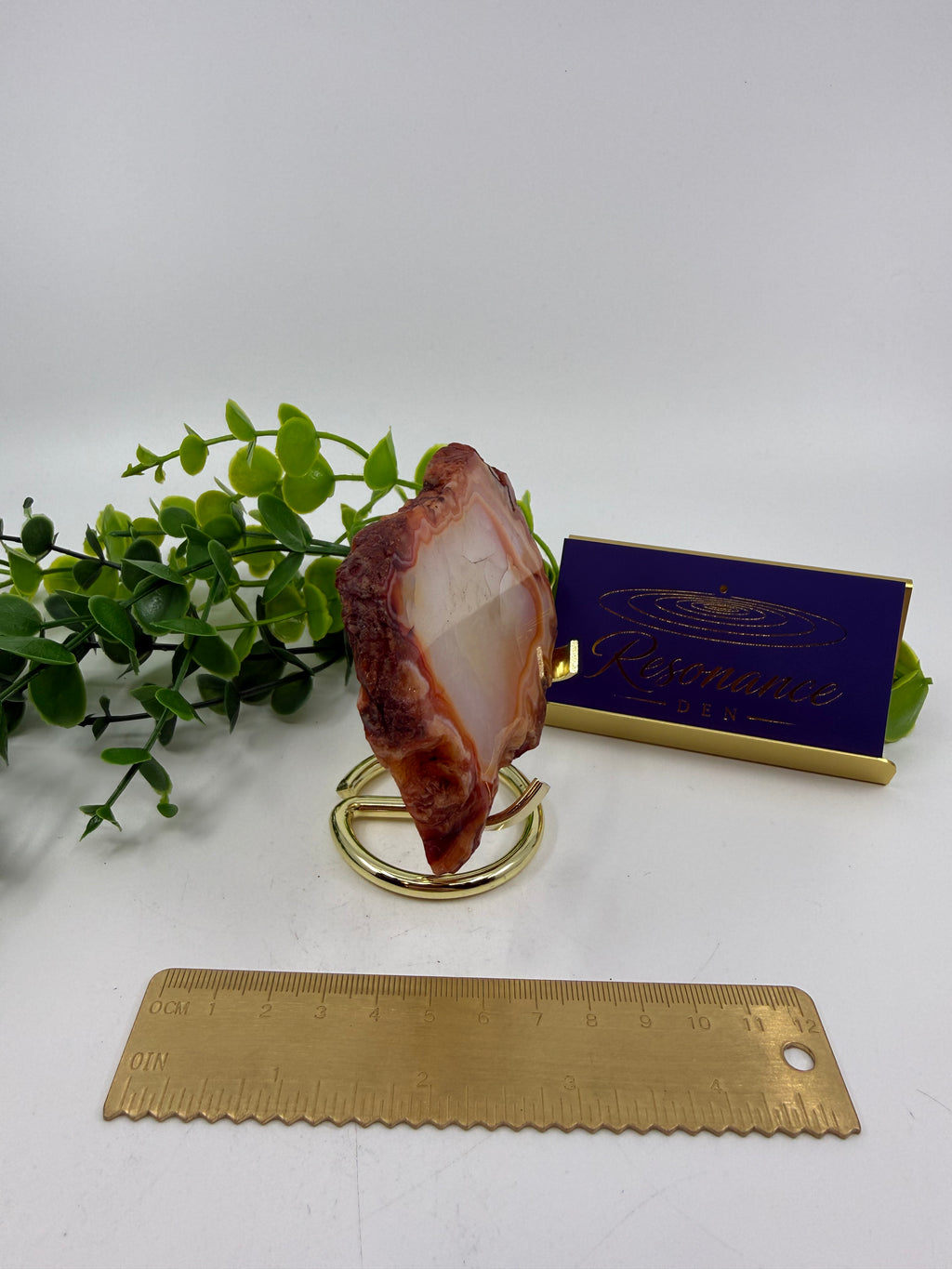 Carnelian Slab (Opt E)