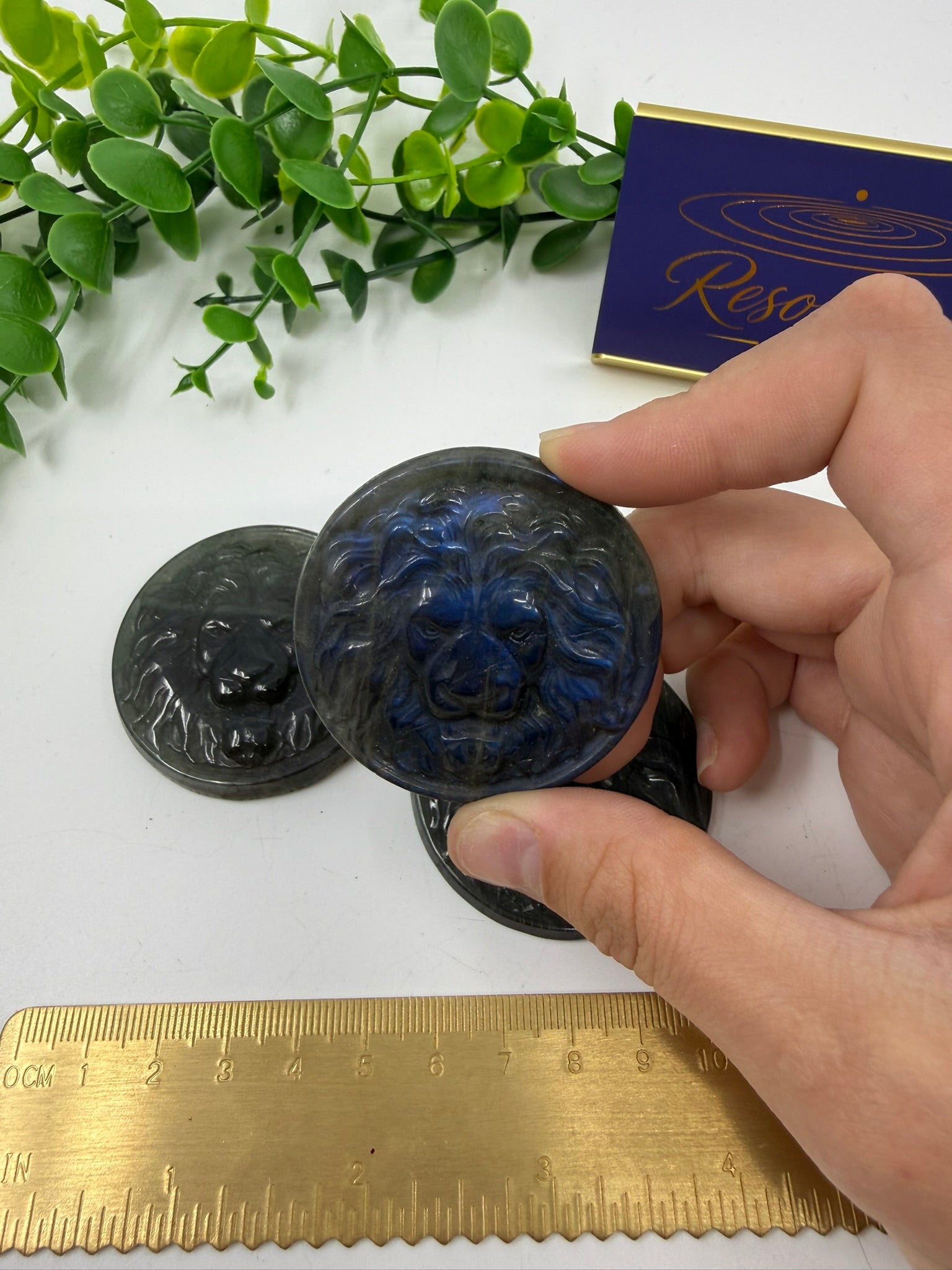 Labradorite Lion Coin | Intuitively Chosen