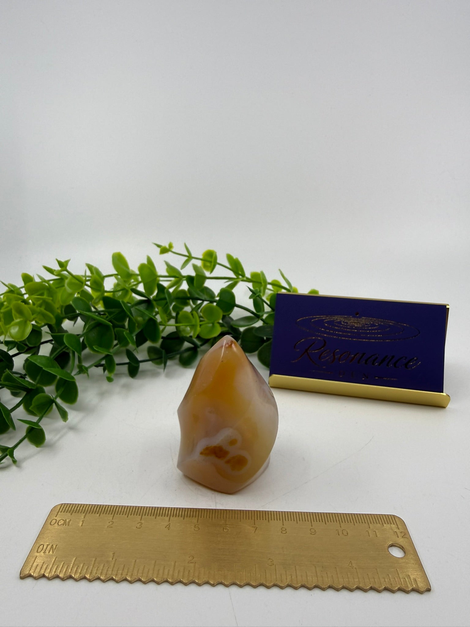 Carnelian Carved Freeform (Opt C)