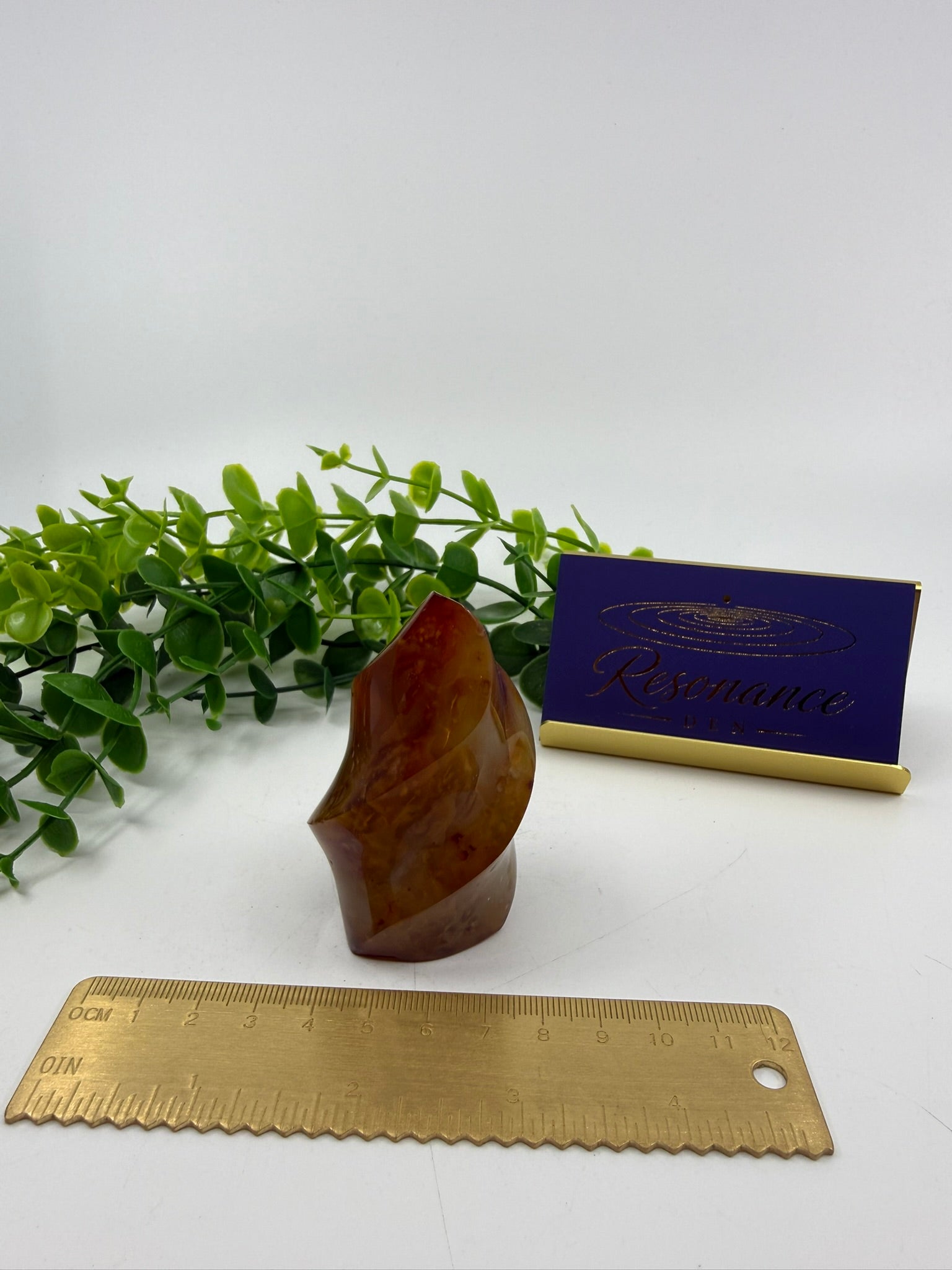 Carnelian Carved Freeform (Opt B)