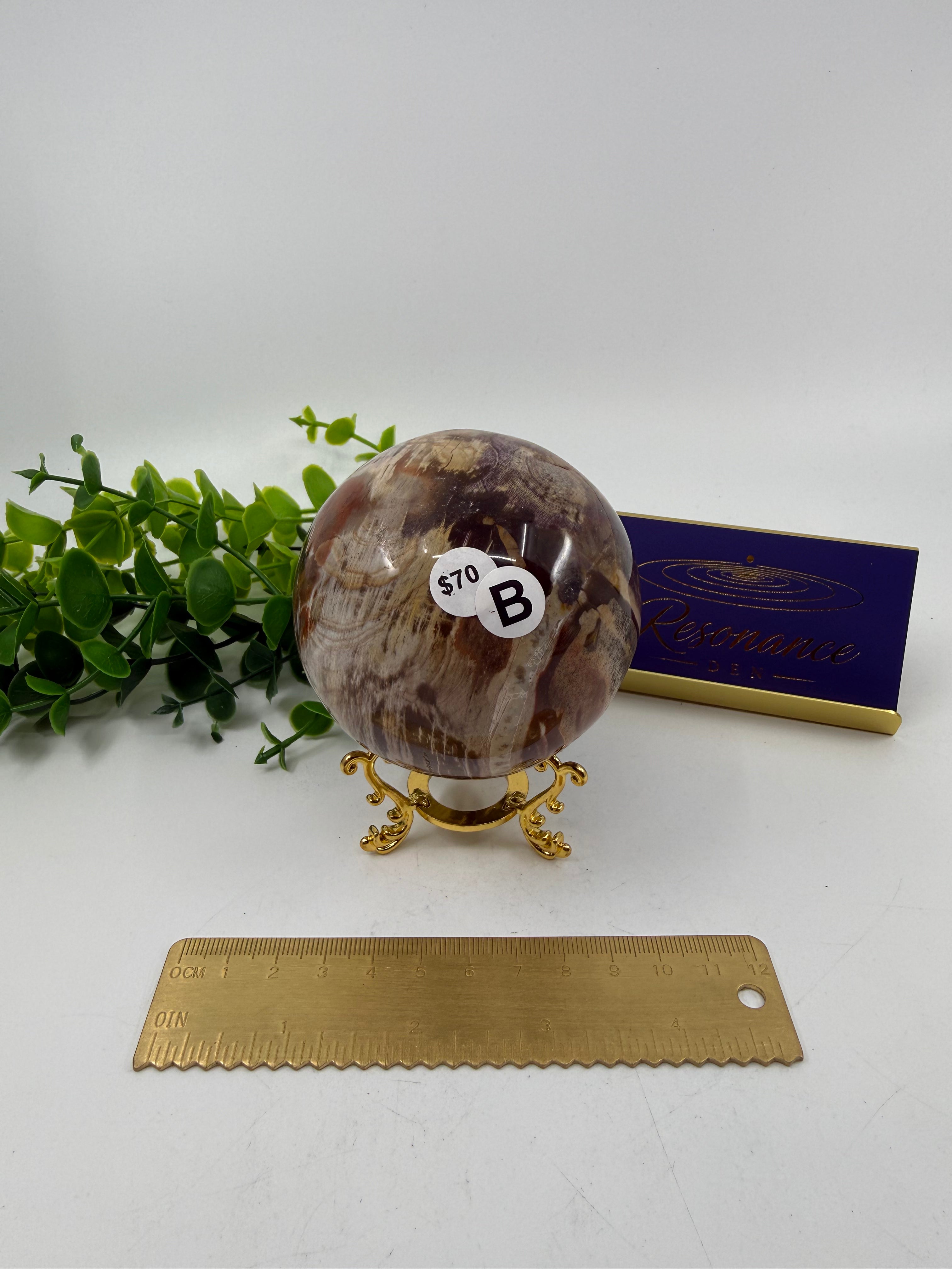 Petrified Wood Sphere (Opt B)