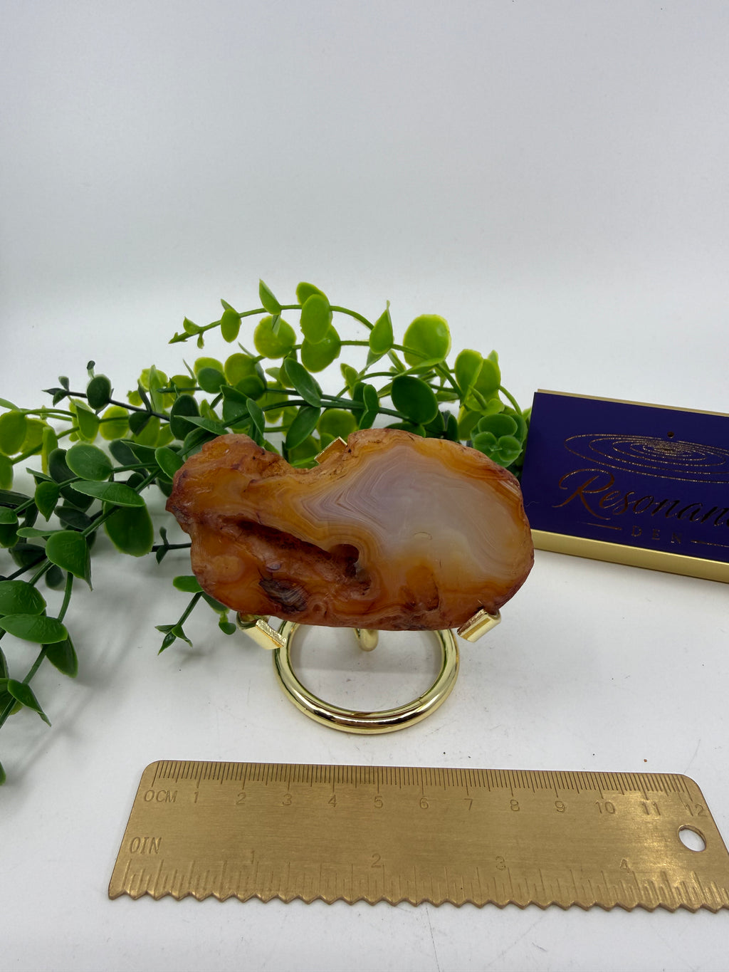 Carnelian Slab (Opt J)