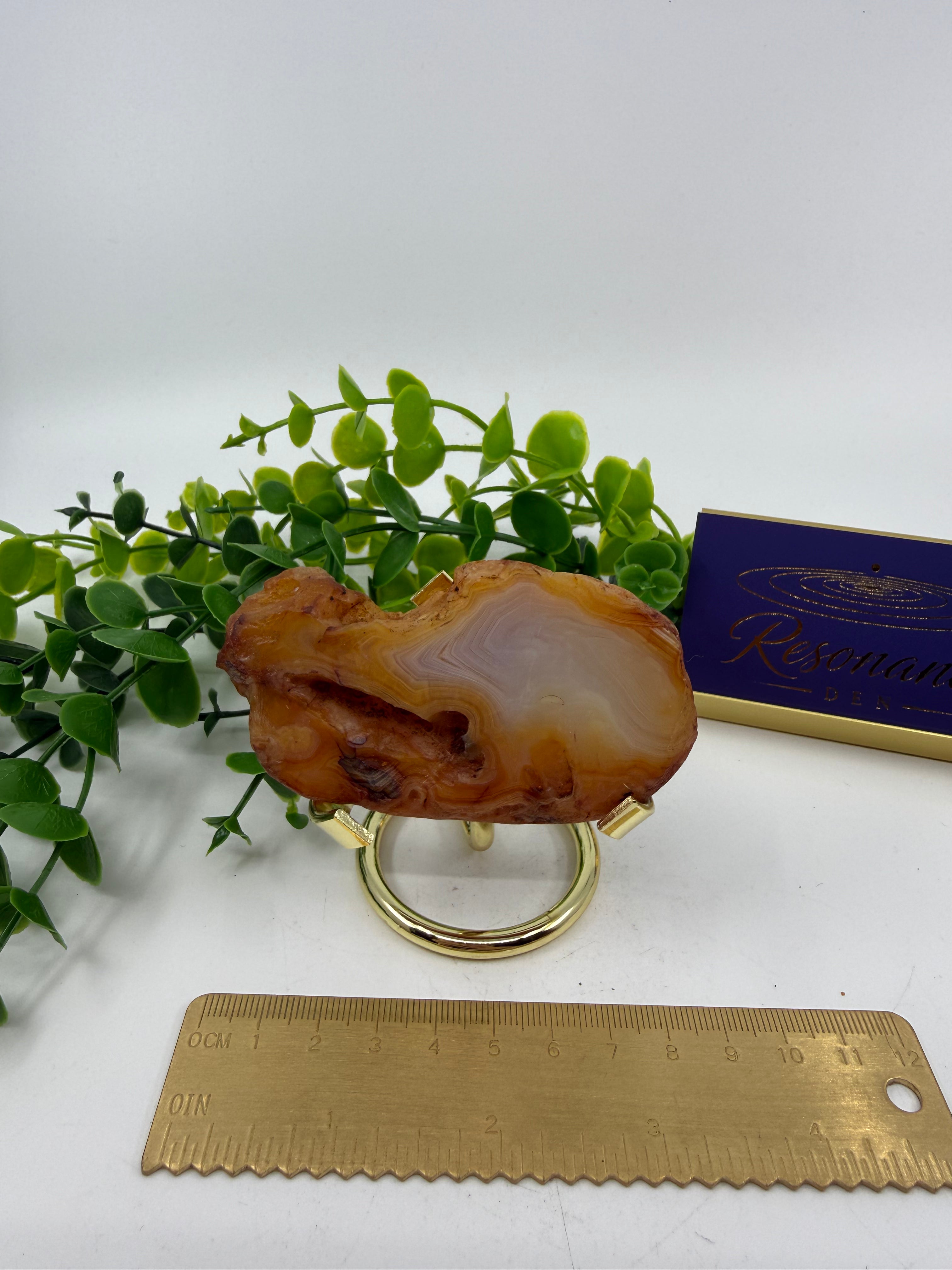 Carnelian Slab (Opt J)