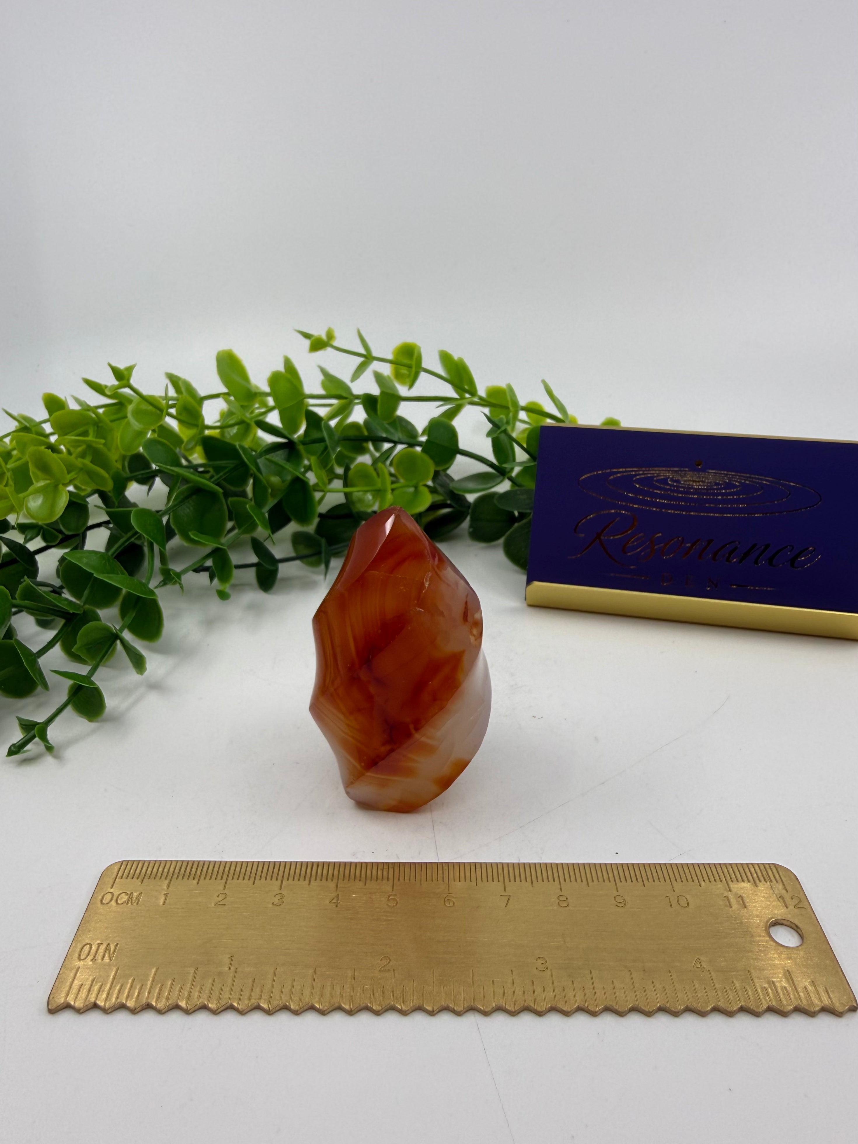 Carnelian Carved Freeform (Opt A)