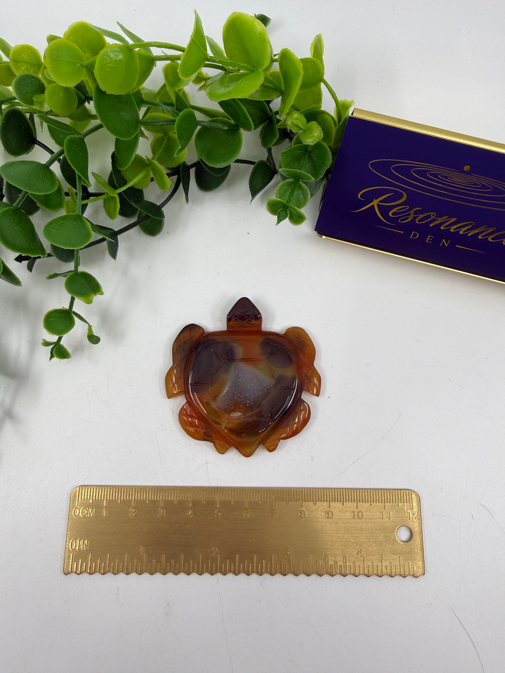 Carnelian Turtle (Opt B)