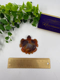 Carnelian Turtle (Opt B)