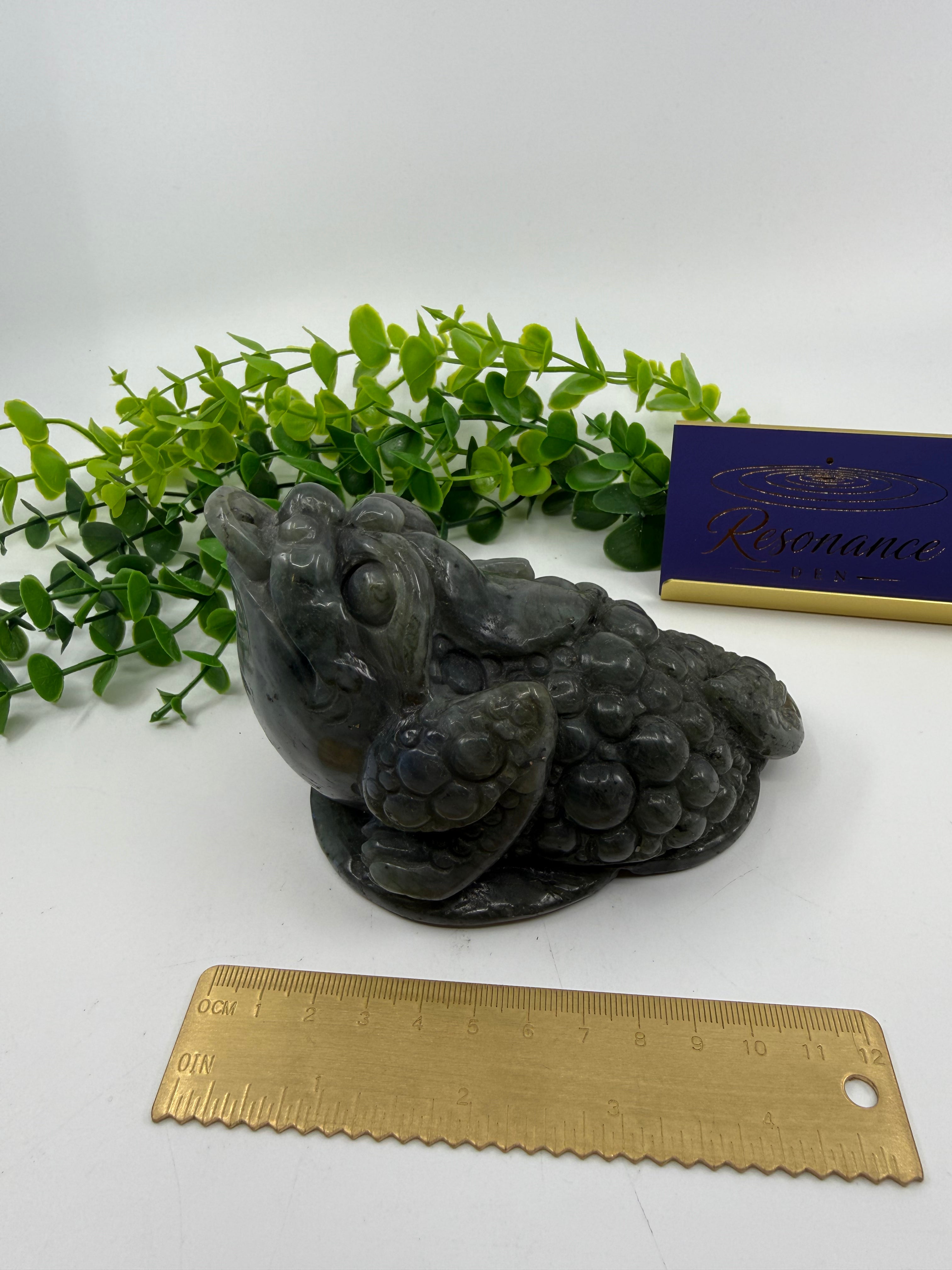 Labradorite Money Toad
