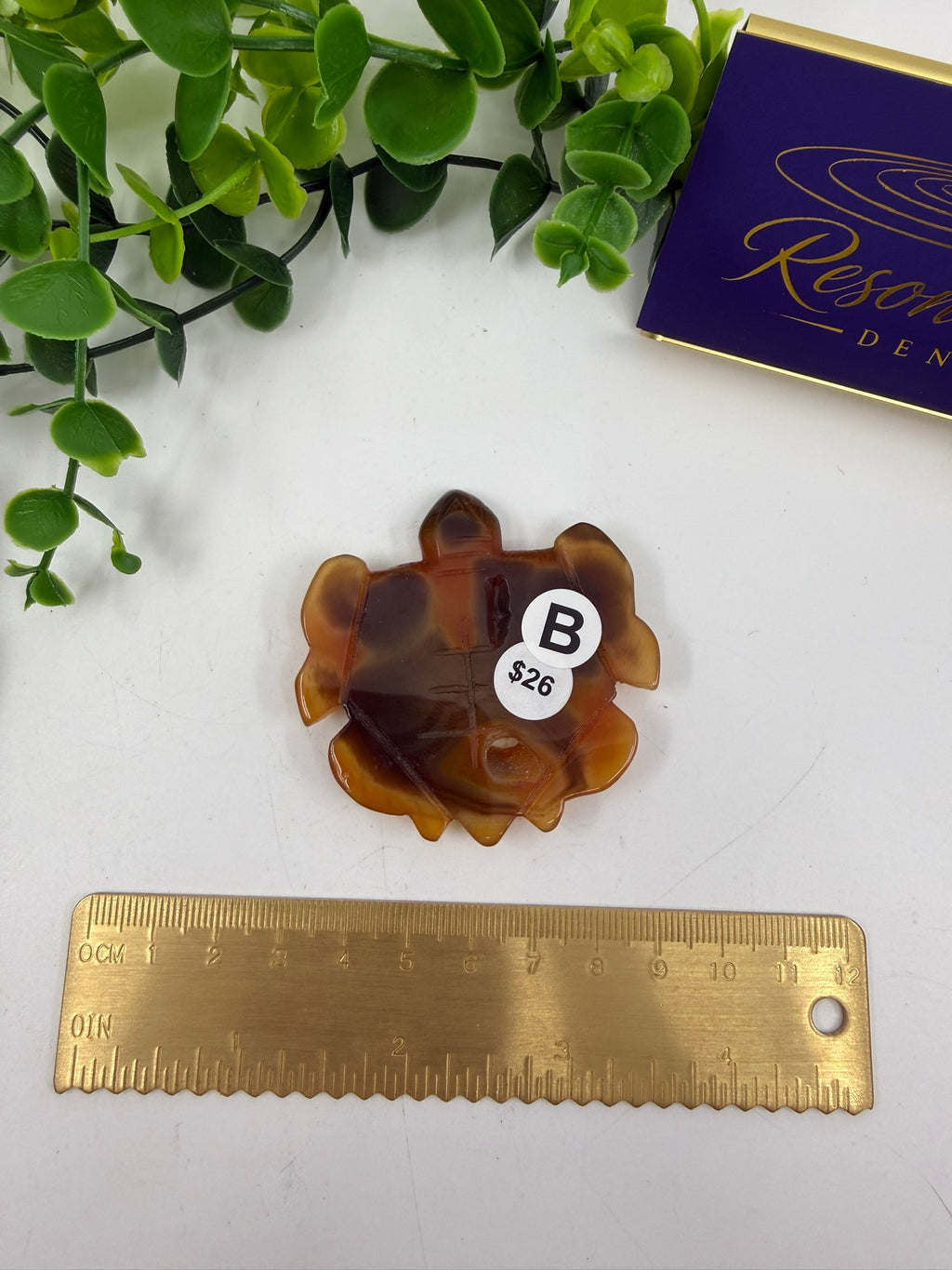 Carnelian Turtle (Opt B)