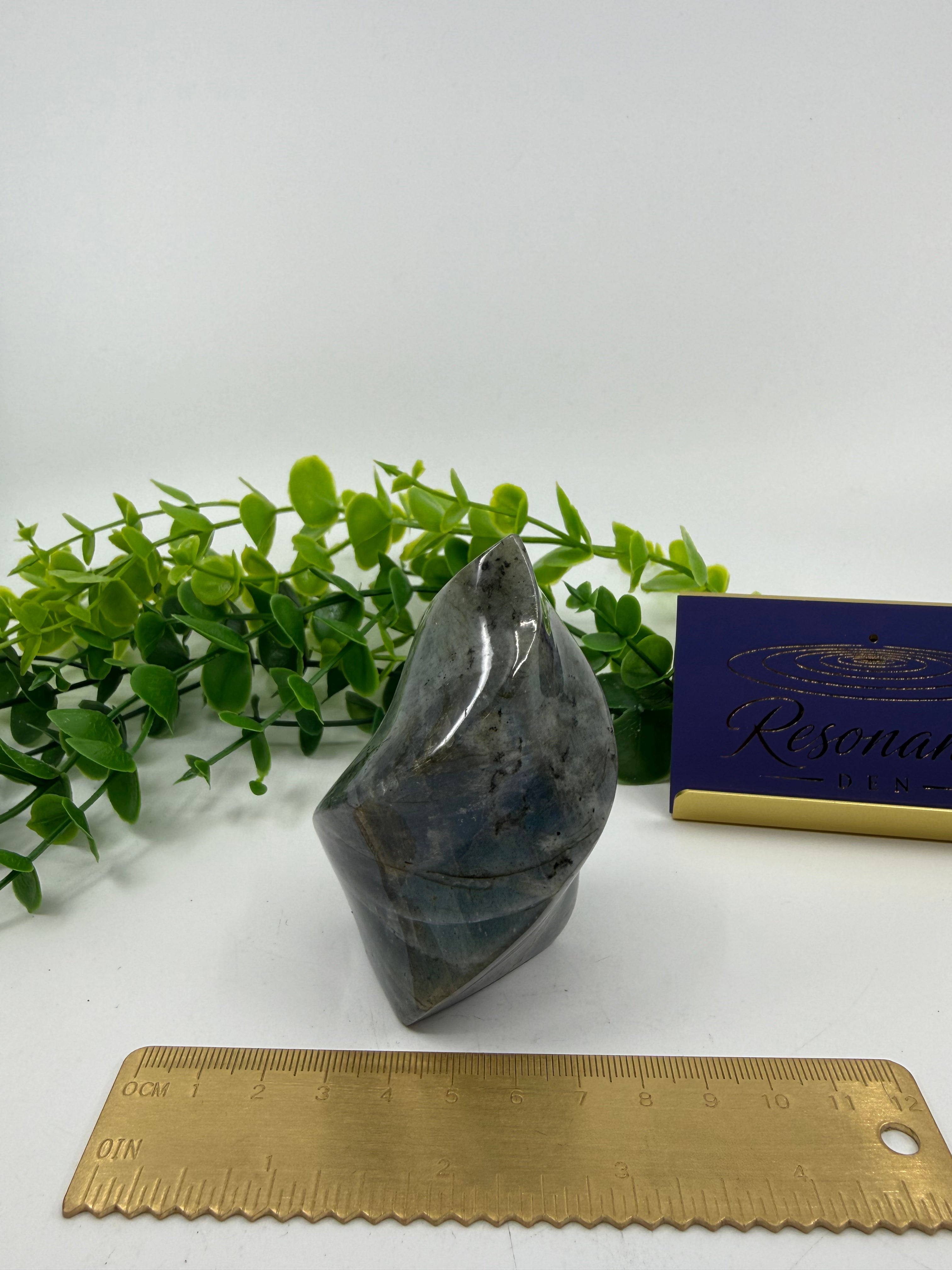 Labradorite Carved Freeform (Opt C)