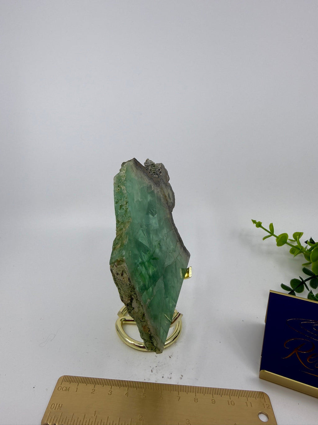 Fluorite Slab | Rare Pyrite Edging (Opt V)
