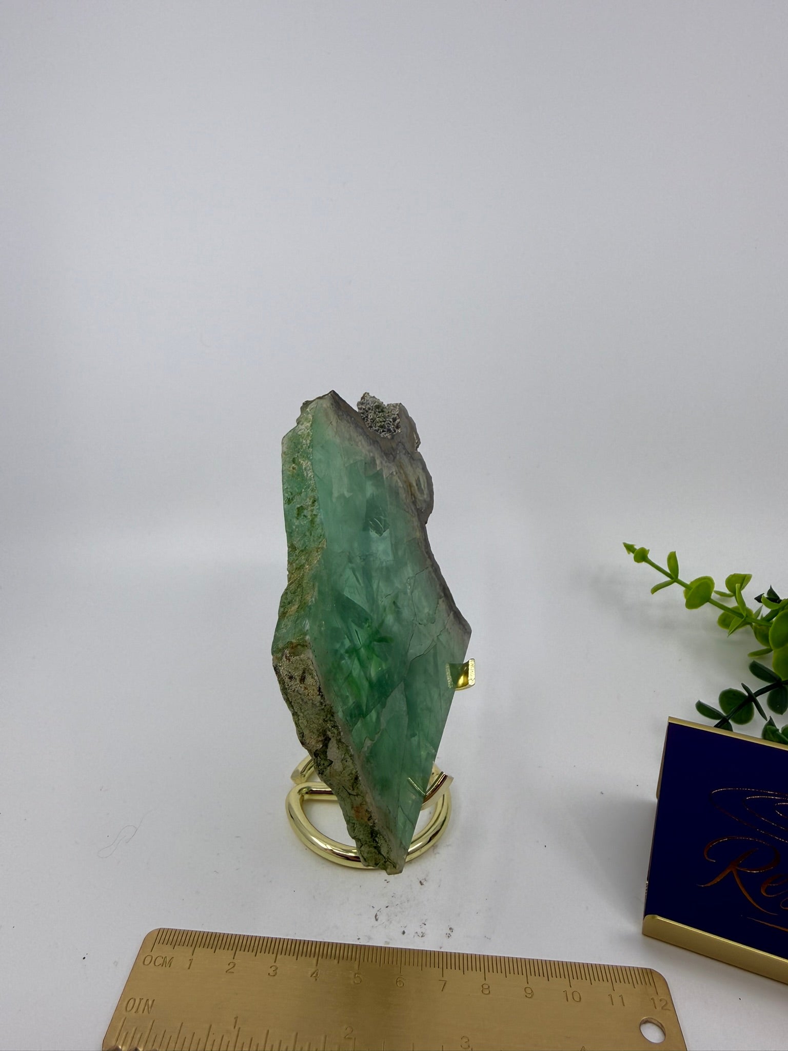 Fluorite Slab | Rare Pyrite Edging (Opt V)