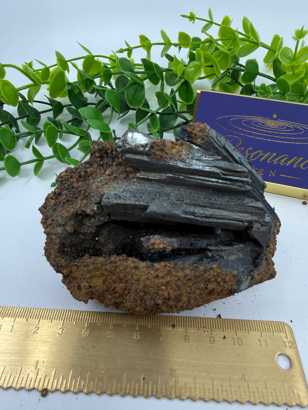 Vivianite Raw Chunk (Opt C)