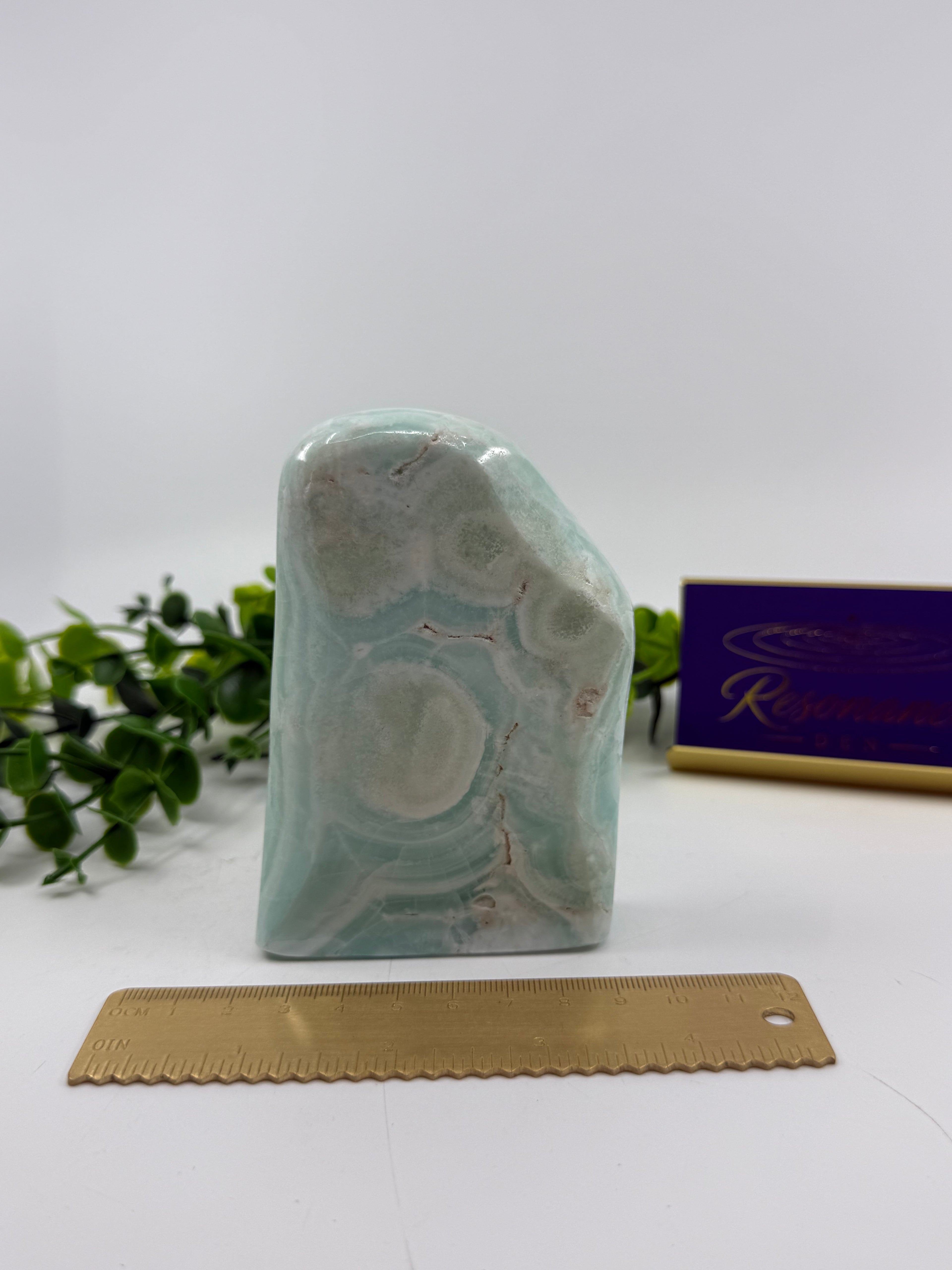 Amazonite Polished Freeform (Opt A)