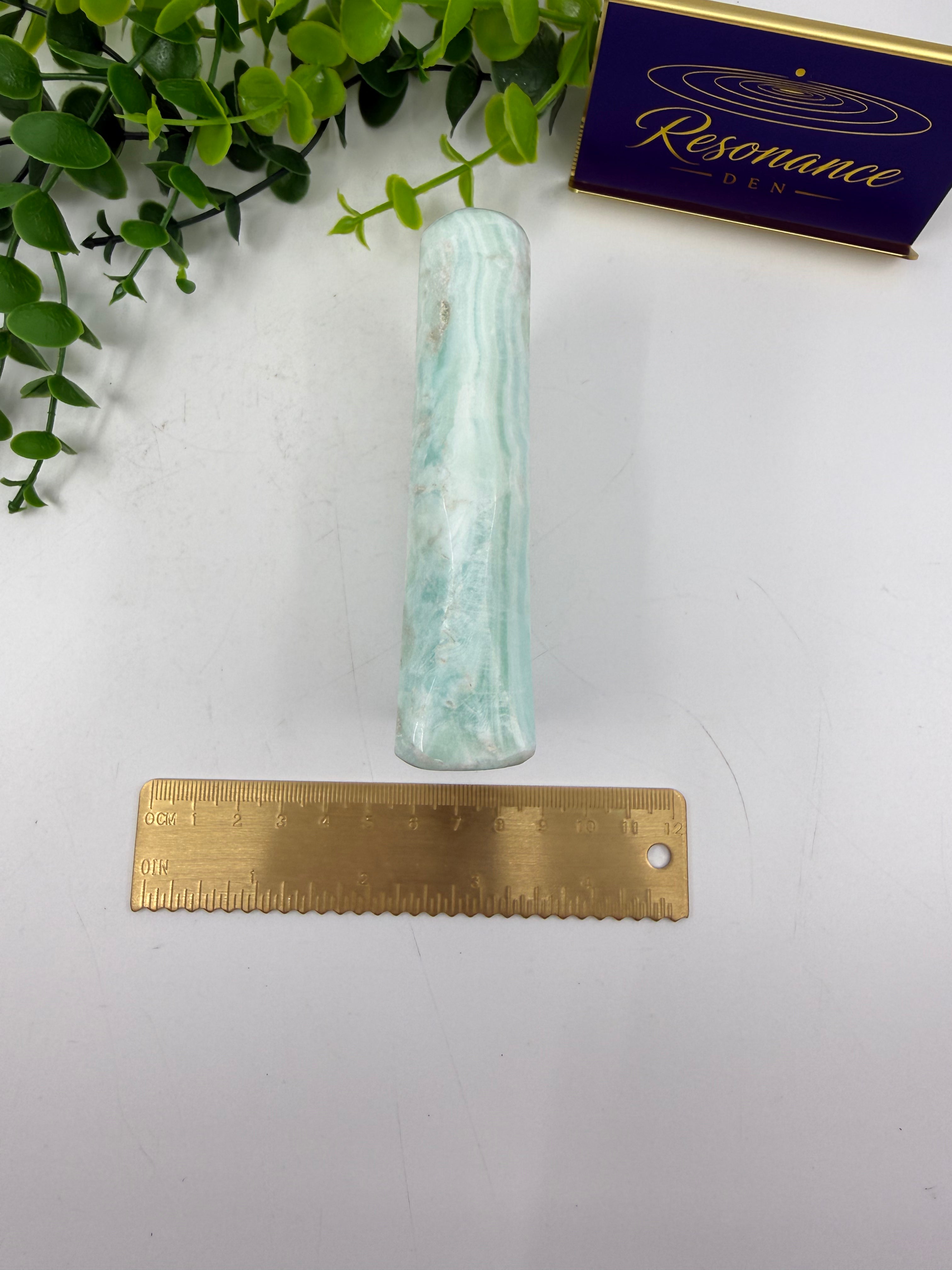 Amazonite Polished Freeform (Opt A)