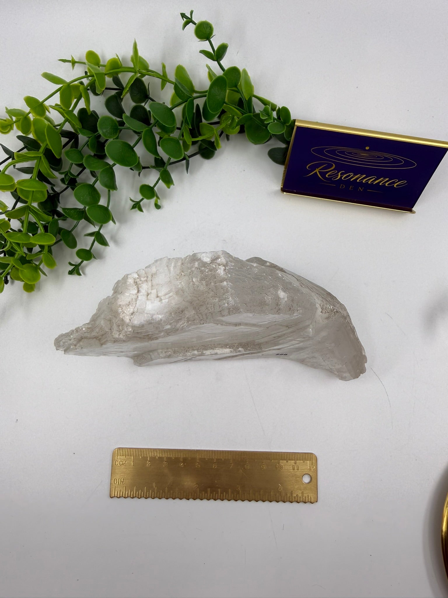 Raw Selenite Freeform