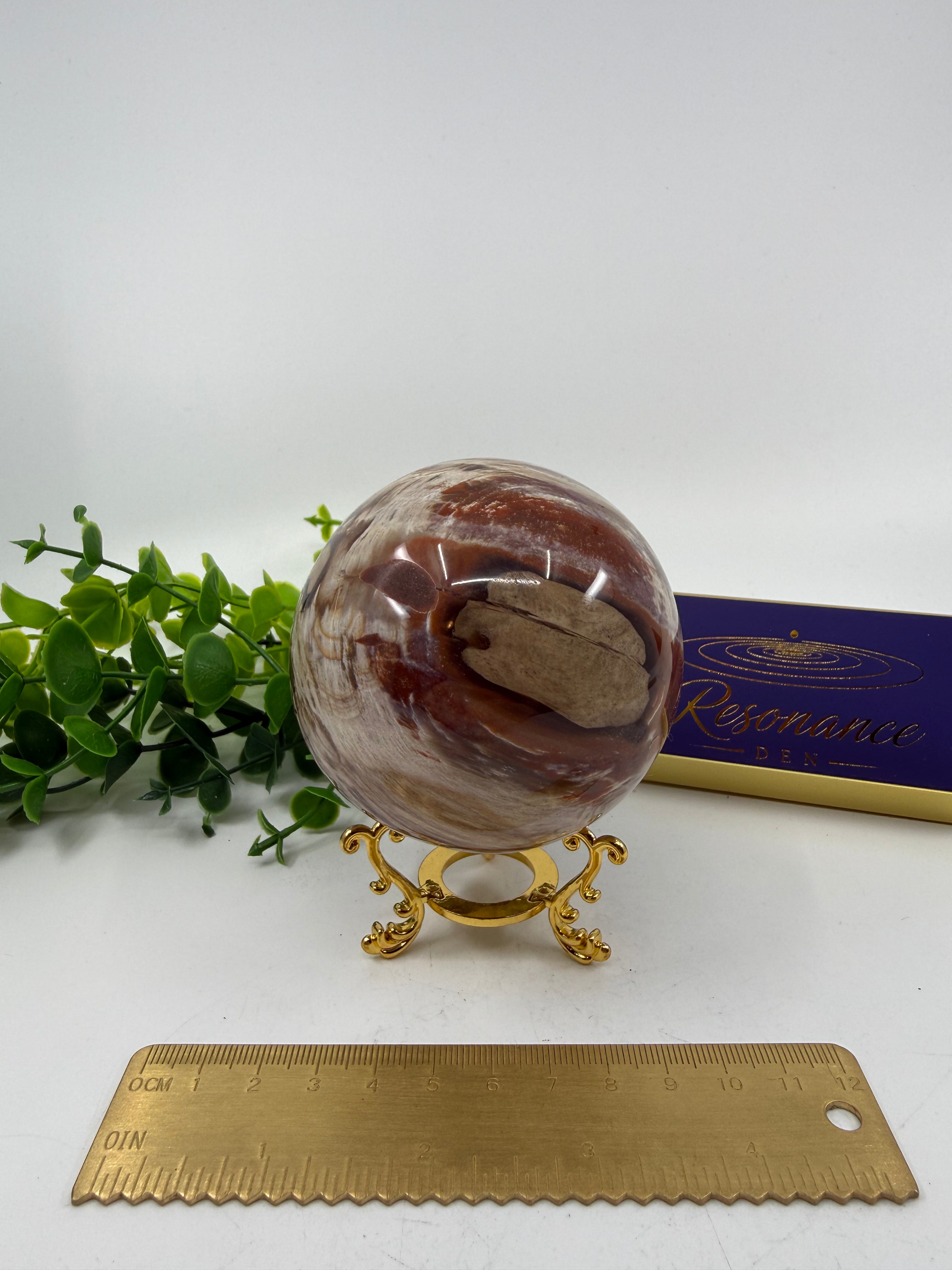 Petrified Wood Sphere (Opt B)