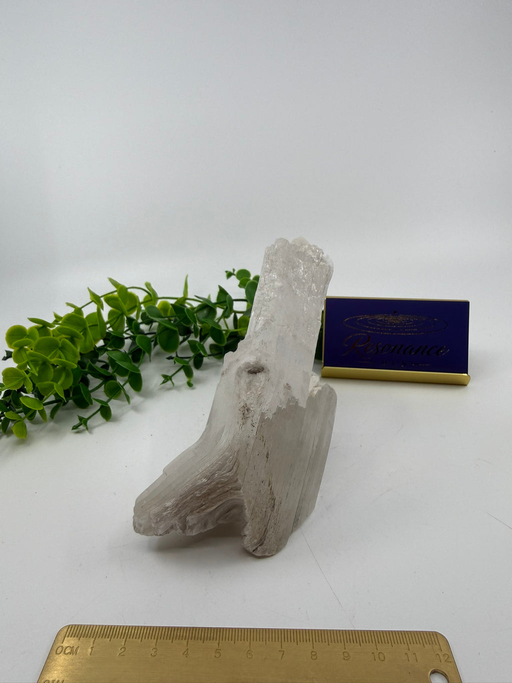 Raw Selenite Freeform