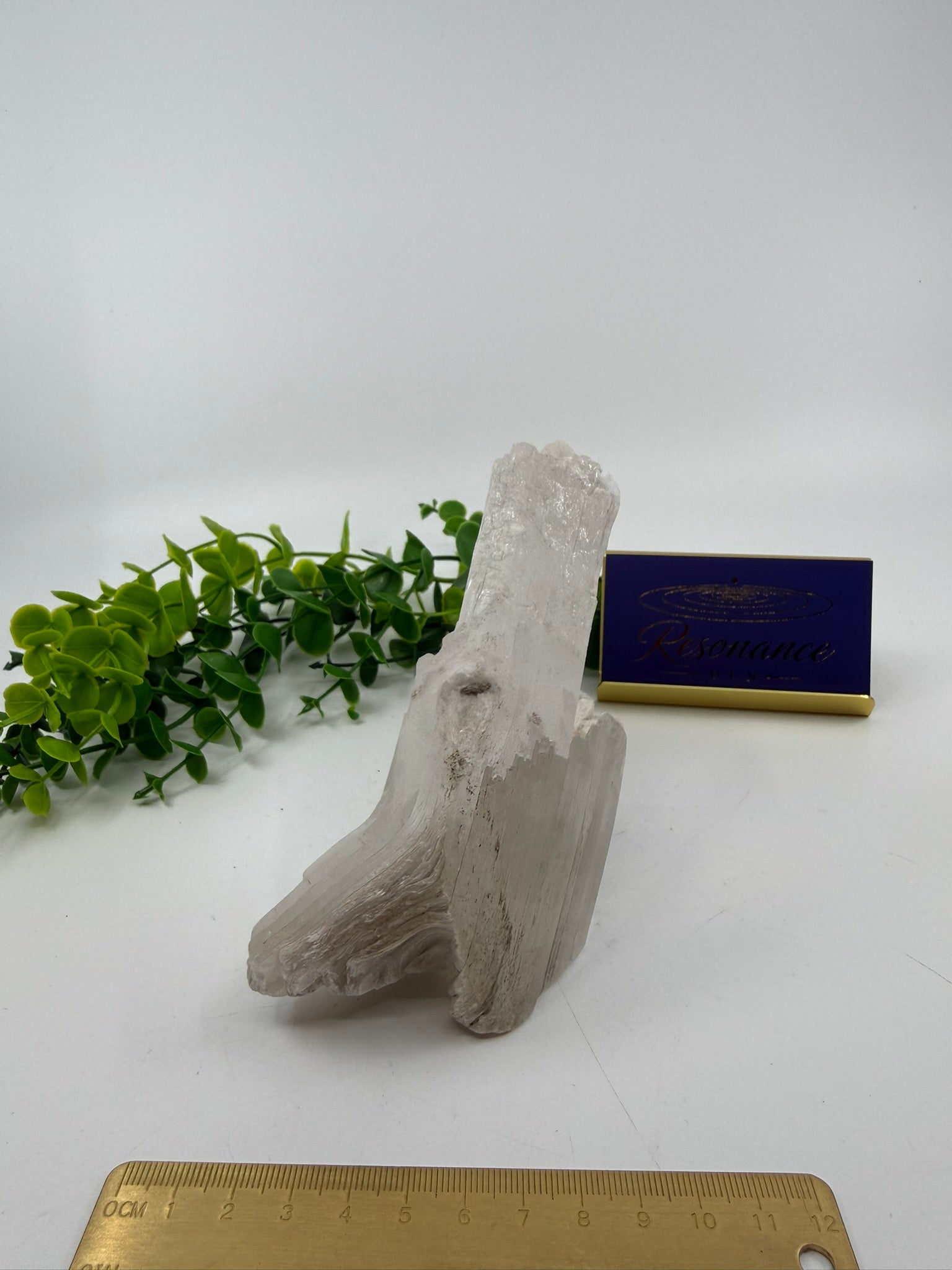 Raw Selenite Freeform