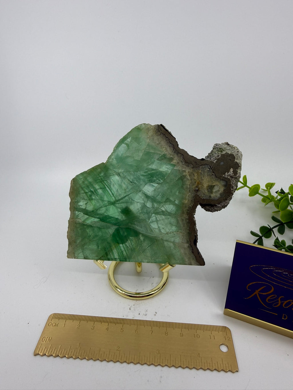 Fluorite Slab | Rare Pyrite Edging (Opt V)
