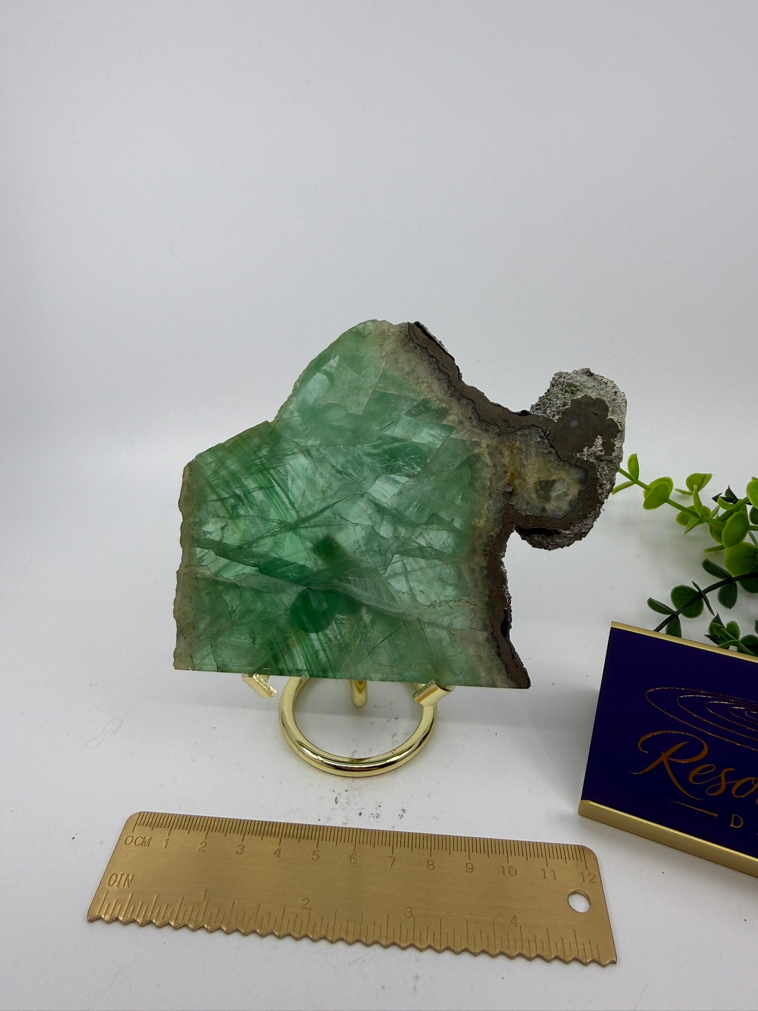 Fluorite Slab | Rare Pyrite Edging (Opt V)